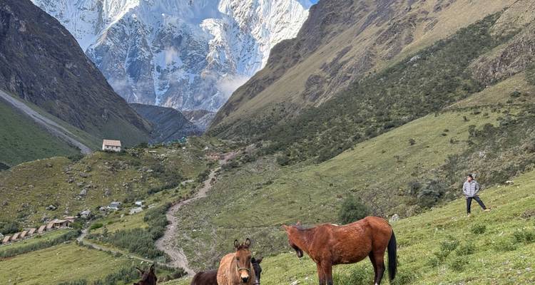 Snow-capped Salkantay Mountain looms above a lush valley where horses graze and a lone hiker admires the view.