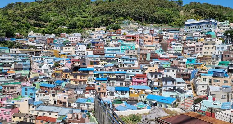 Un patchwork vibrant de maisons pastel grimpe une colline au village culturel de Gamcheon avec une forêt verte au-dessus.