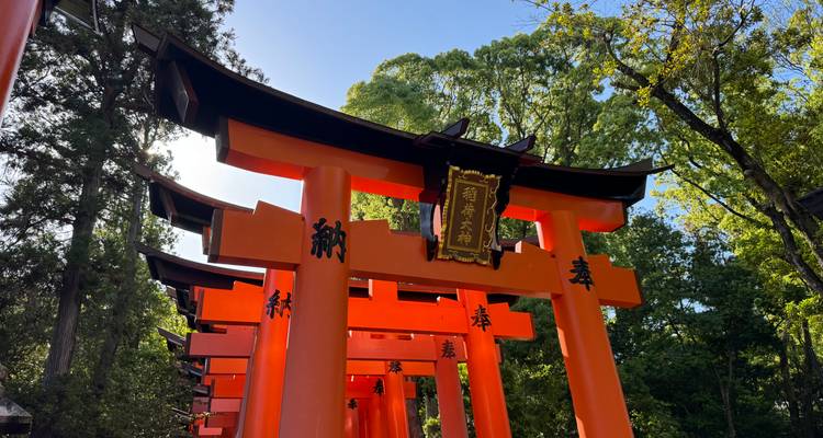 Fila de brillantes puertas torii de color bermellón con inscripciones kanji en un entorno boscoso