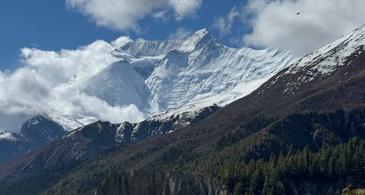 Vista amplia del macizo himalayo cubierto de nieve con crestas boscosas abajo