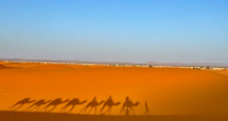 Las largas sombras de una caravana de camellos se extienden por las doradas dunas del Sahara bajo un cielo azul despejado.
