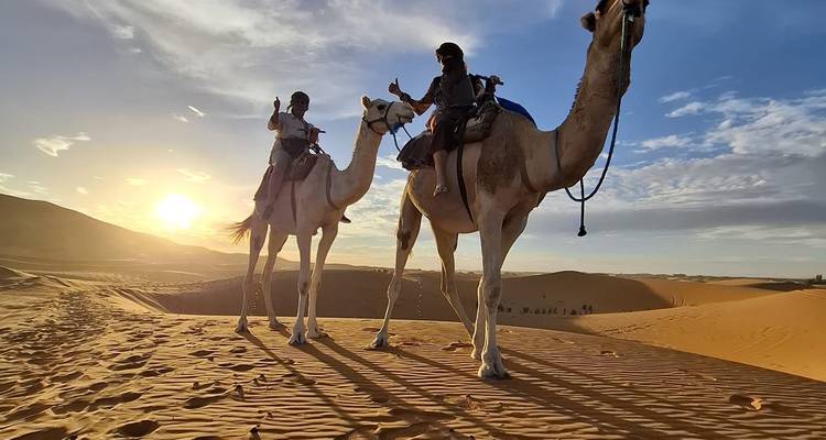 Two riders on camels traverse golden sand dunes as the sun sets, casting long shadows across the desert.