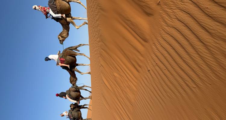 Line of riders on camels crest a golden dune against a deep blue desert sky.