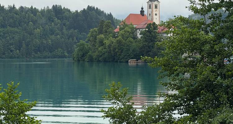 Tranquil view of Lake Bled with island church framed by lush trees