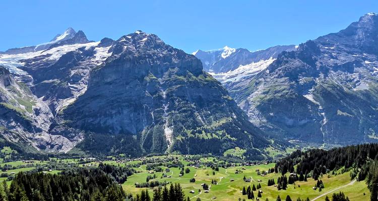 Imposing snow-capped peaks tower over emerald meadows and dense forest above Grindelwald.