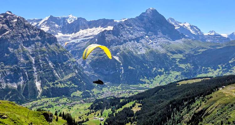 Bright yellow paraglider soars above a vast alpine valley backed by dramatic snowy peaks.