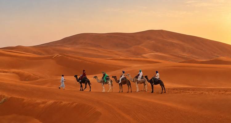Une file de chameliers menée par un guide traverse les vastes dunes orange du Sahara au coucher du soleil.