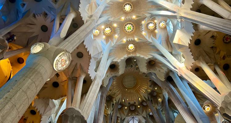Dramatic star-shaped ceiling and soaring columns inside the Sagrada Familia.