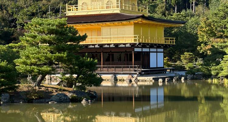 Golden Pavilion temple reflected in a tranquil pond surrounded by pine trees