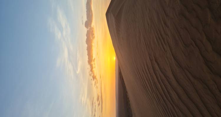 Golden sunset colours wash over rippled sand dunes on the edge of the Sahara Desert.