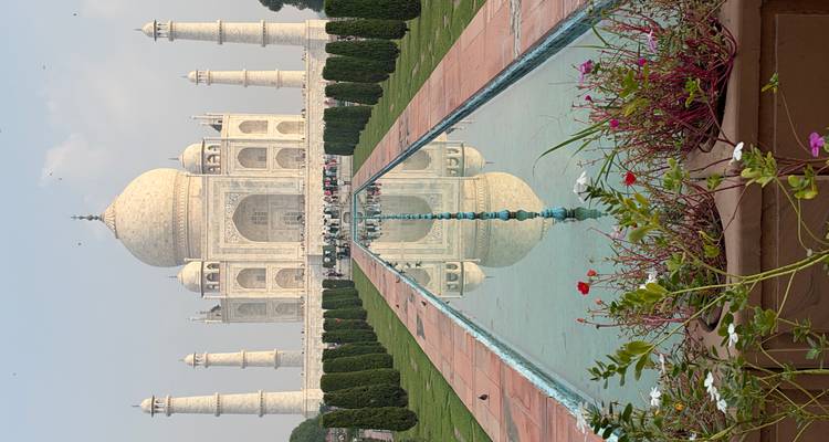 Centered view of the Taj Mahal perfectly reflected in the long pool framed by gardens and flowers.