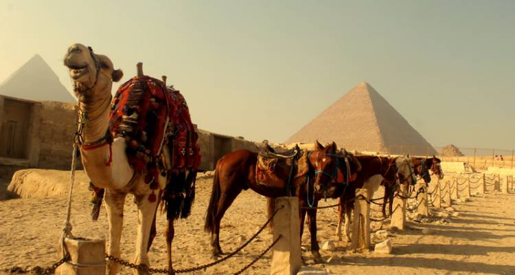 Nile Jewel 9 Days, 5* Nile Cruise & The Red Sea - Timeless Tours