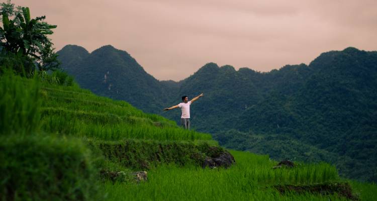 5 Days: Nature Forest Trekking, Tam Coc Fishing, Cycling, Rowing, Mua Cave and Hanoi City Discover - Go Vietnam Travel