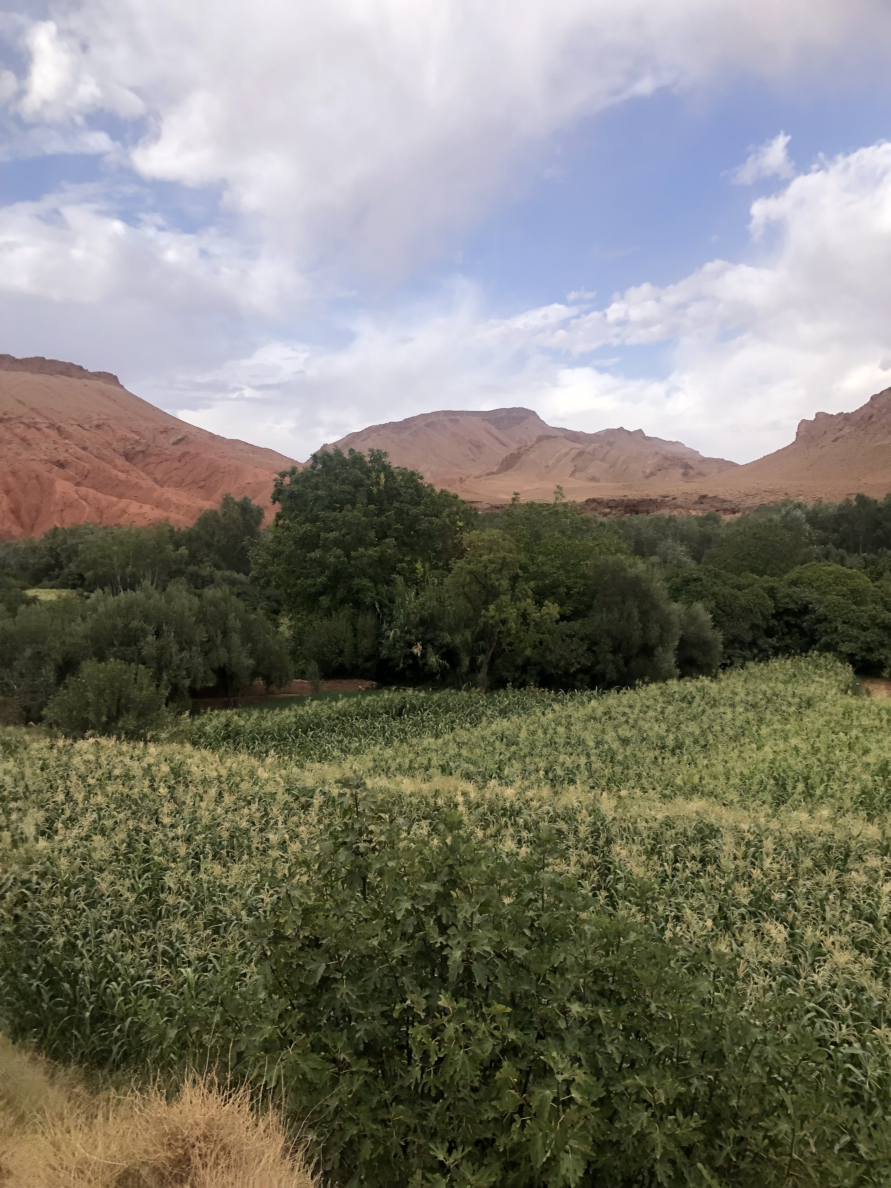 Hoher Atlas und Sahara 3 Tage customer review photo 2