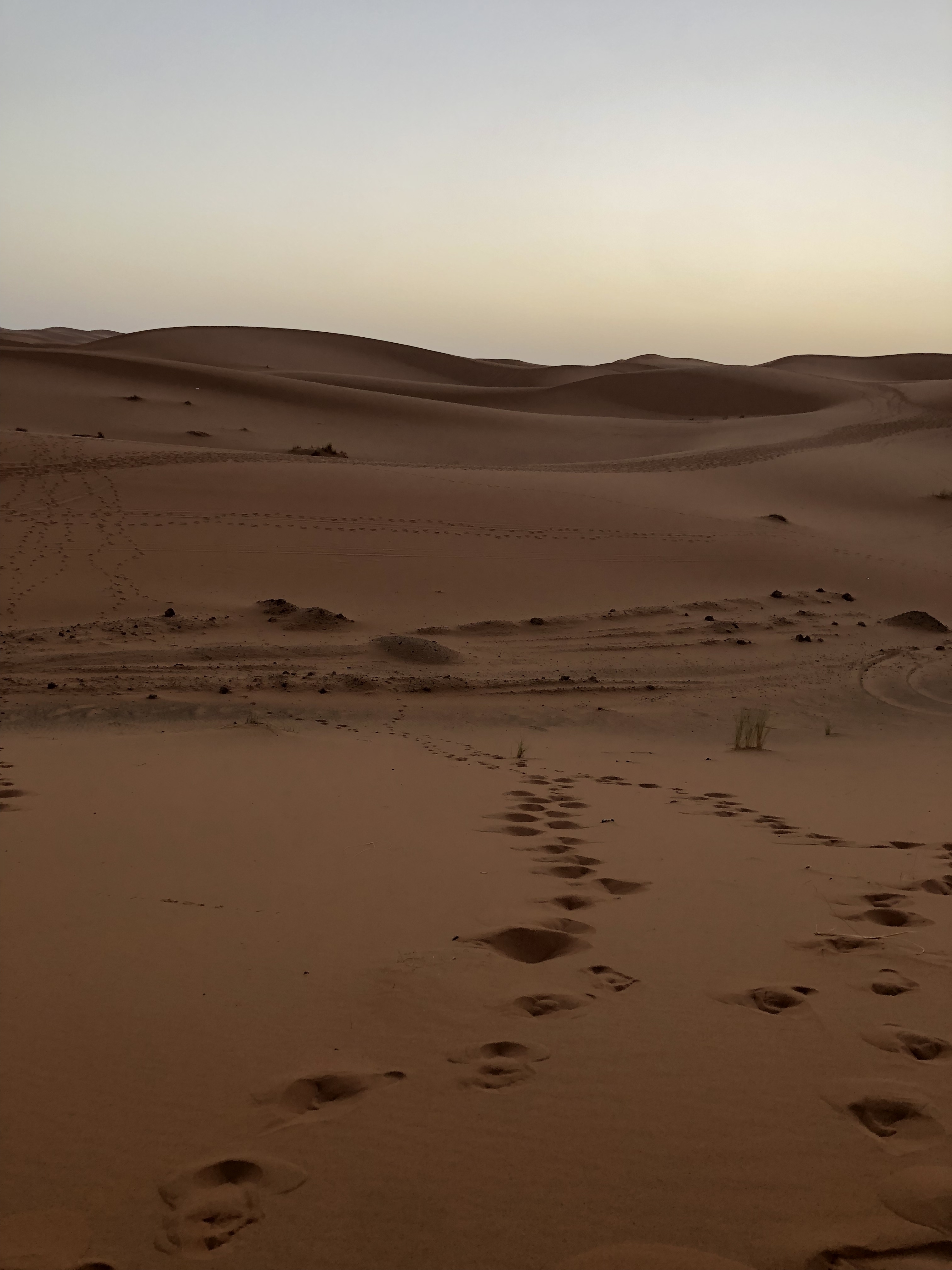 Hoher Atlas und Sahara 3 Tage customer review photo 1