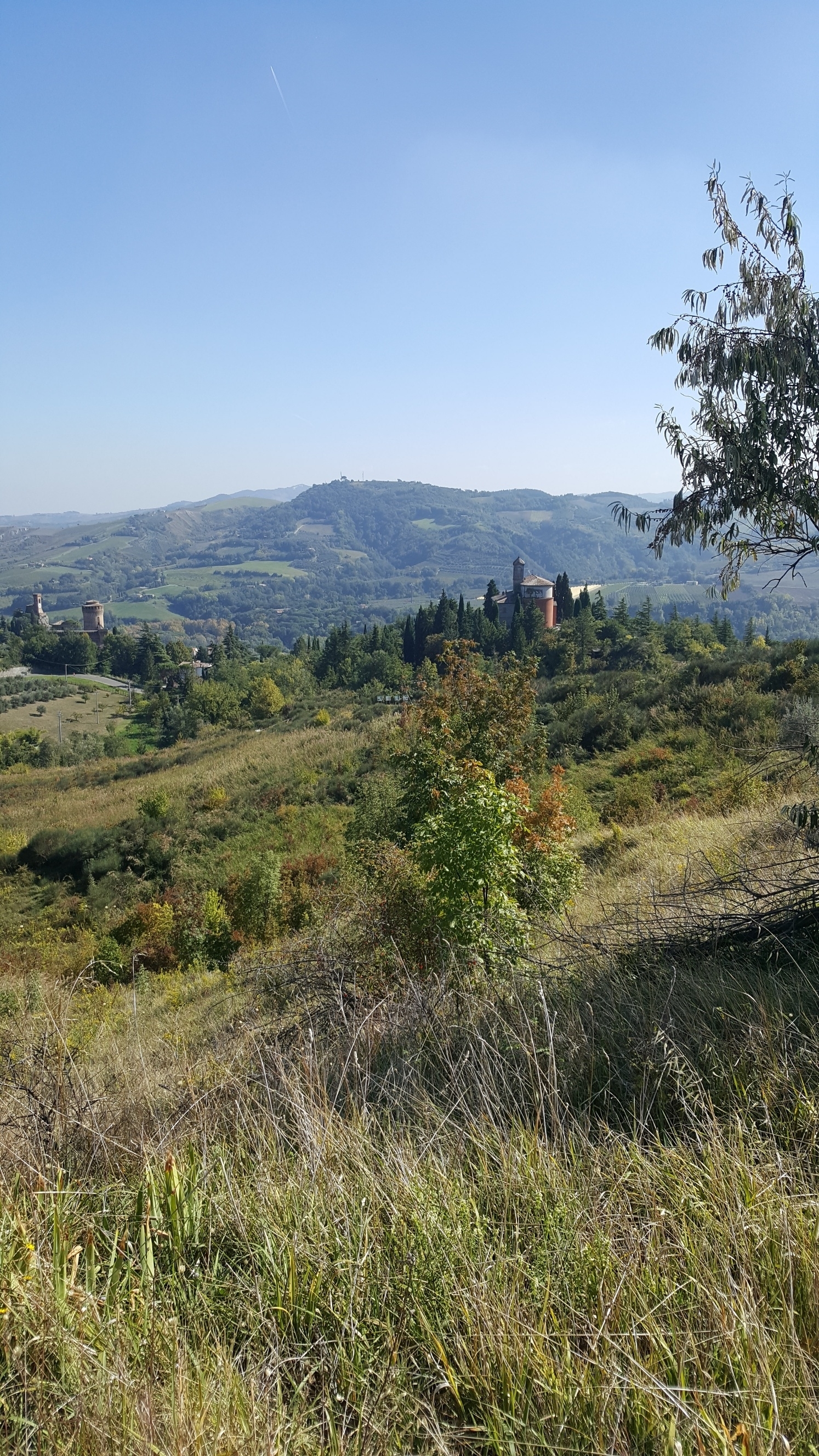 Scenic view of a hilltop with a castle surrounded by trees and mountains.