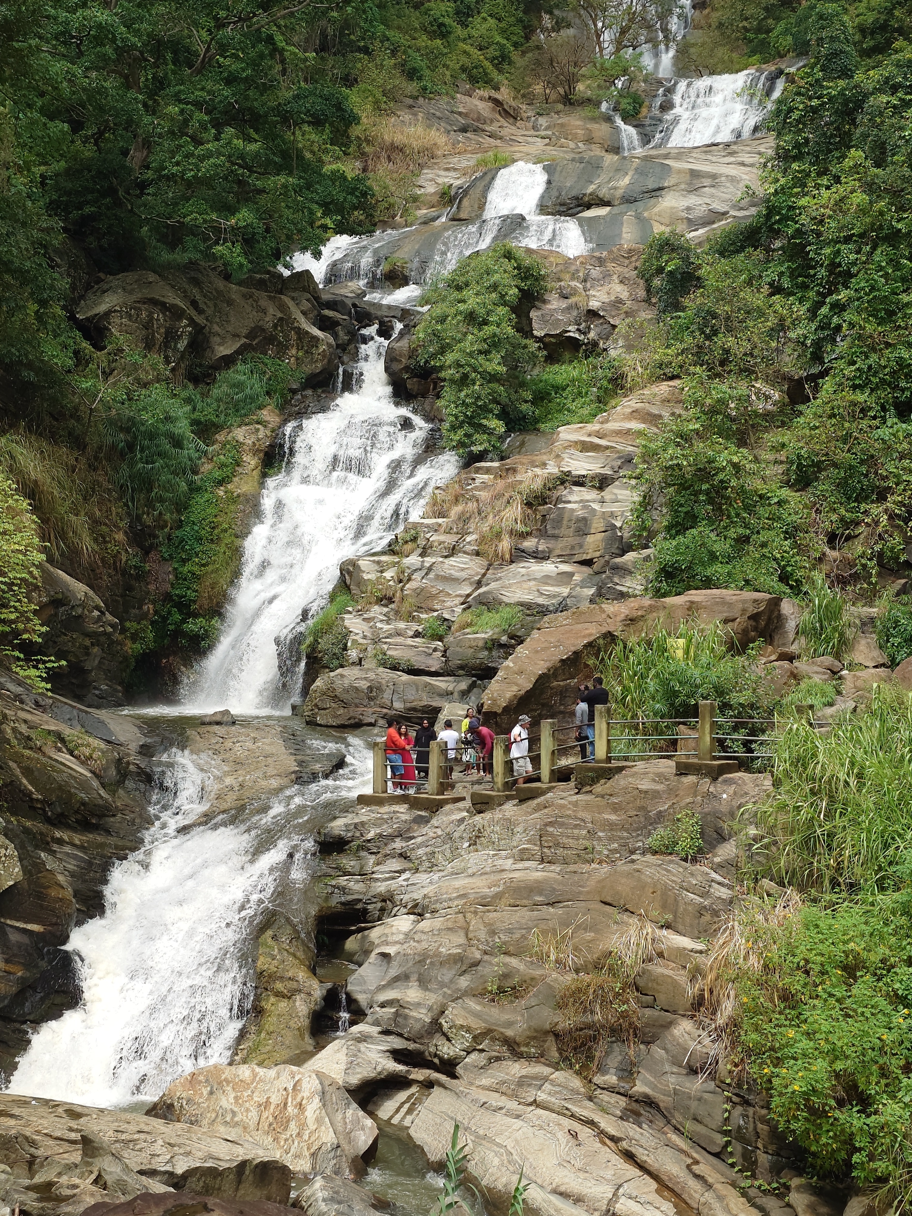 Splendour Of Sri Lanka 7 Tage customer review photo 3