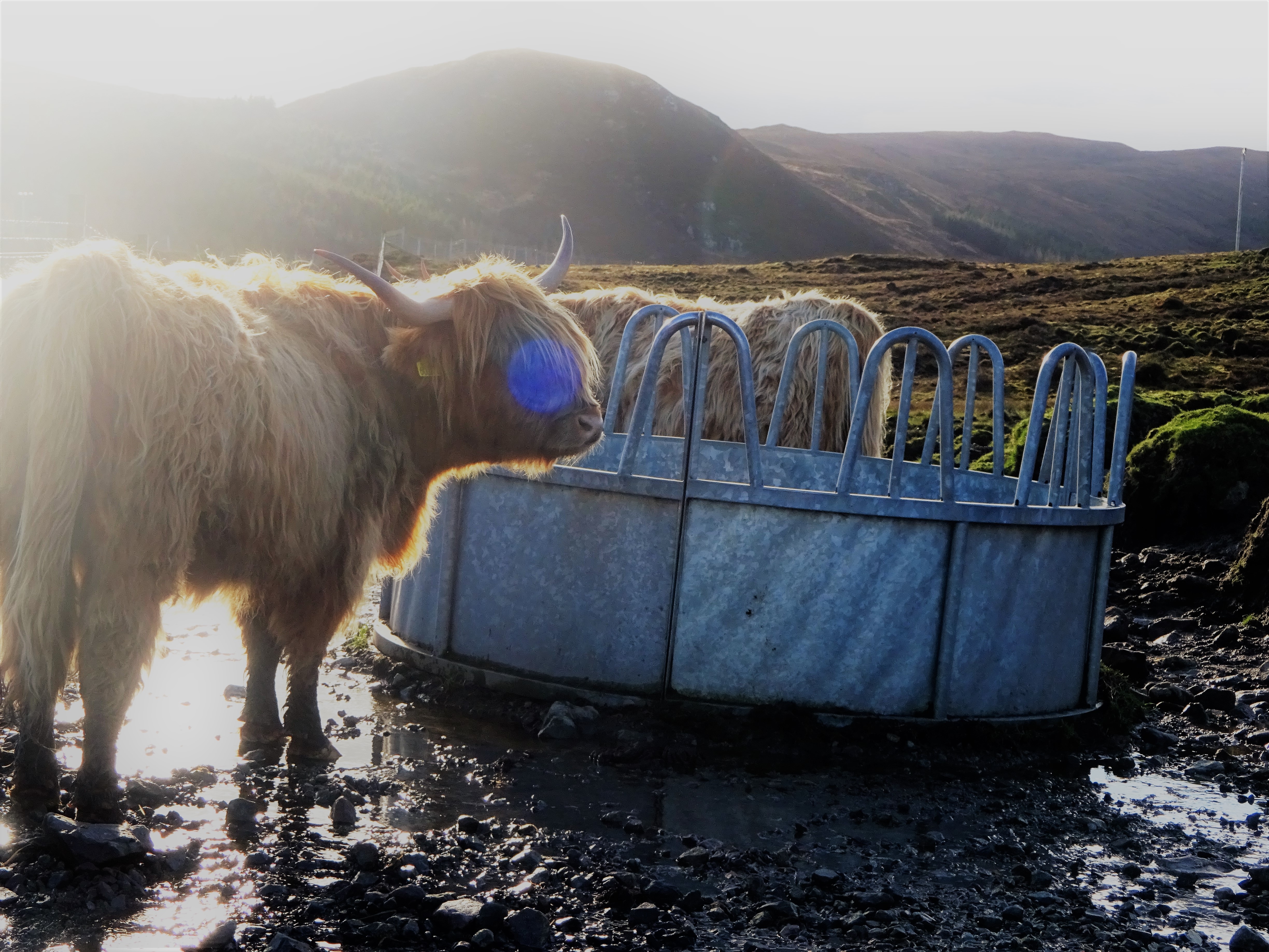 Insel Skye - 3 Tage customer review photo 2