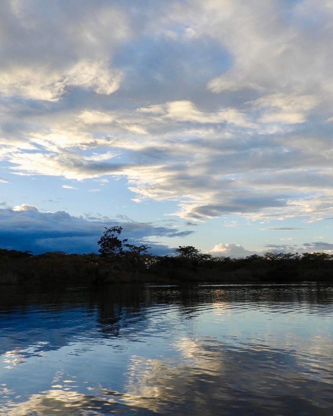 Sunlit river with trees and a cloudy sky.