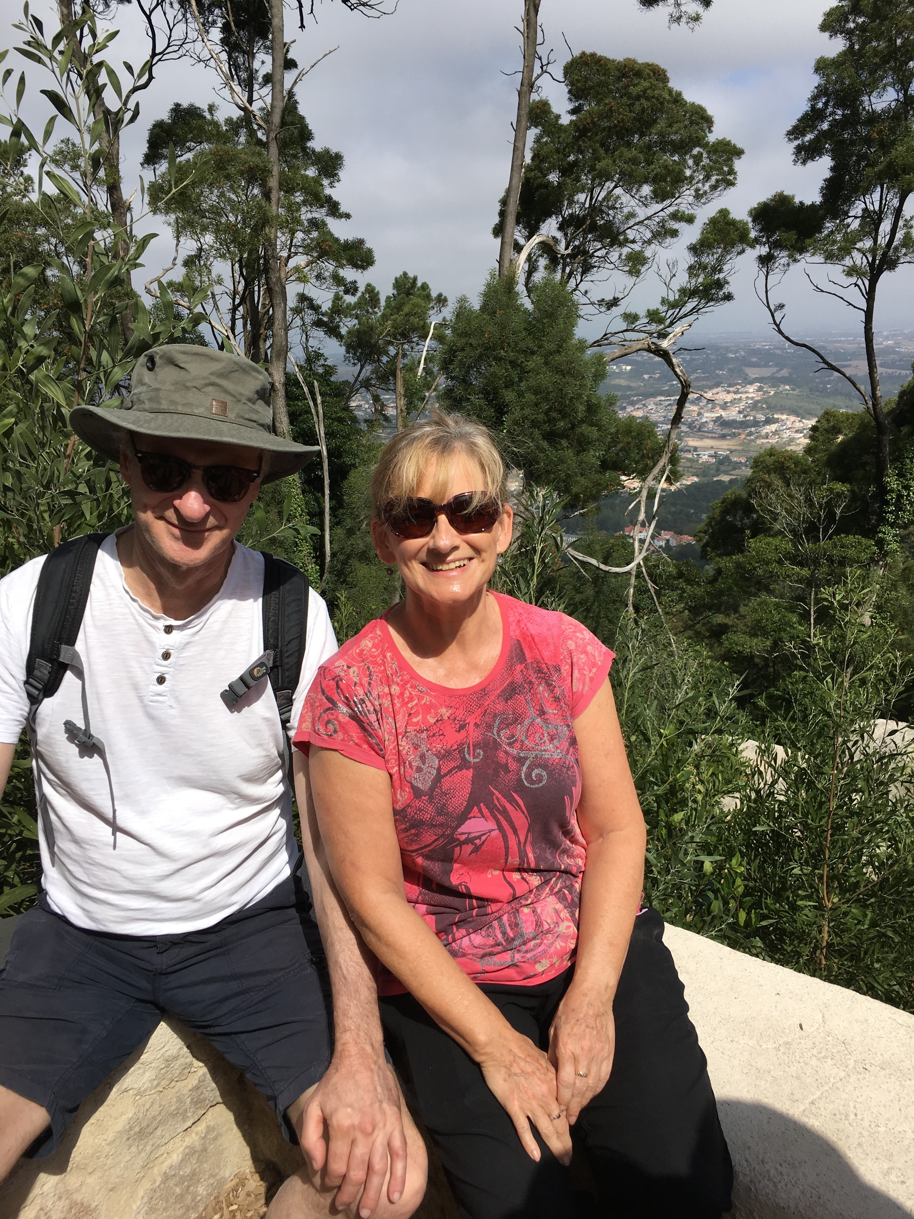 A couple posing in front of a scenic landscape view.