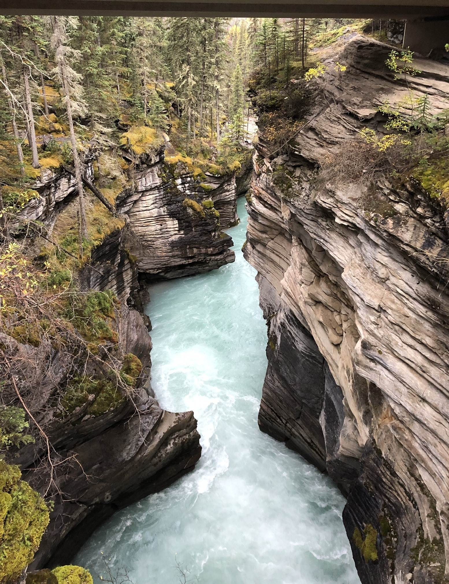 Narrow gorge with a fast-flowing glacial river.