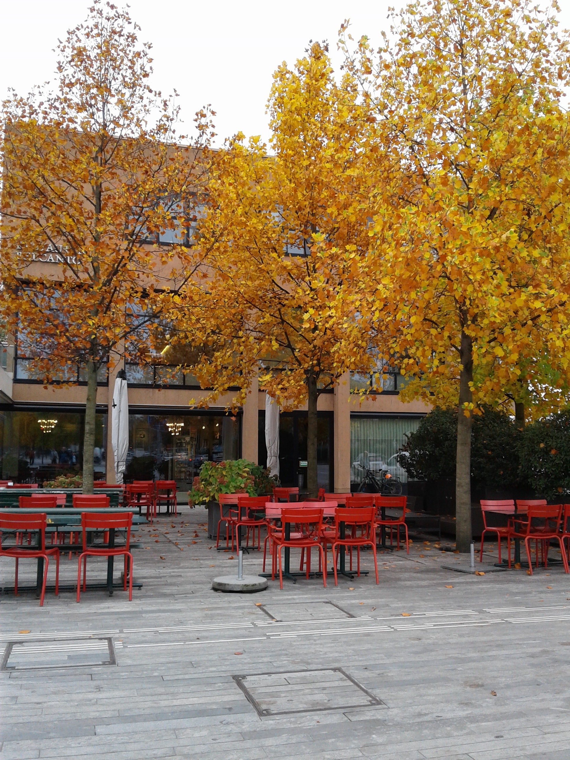 Outdoor scene with autumn-colored trees and a terrace with red chairs and tables.