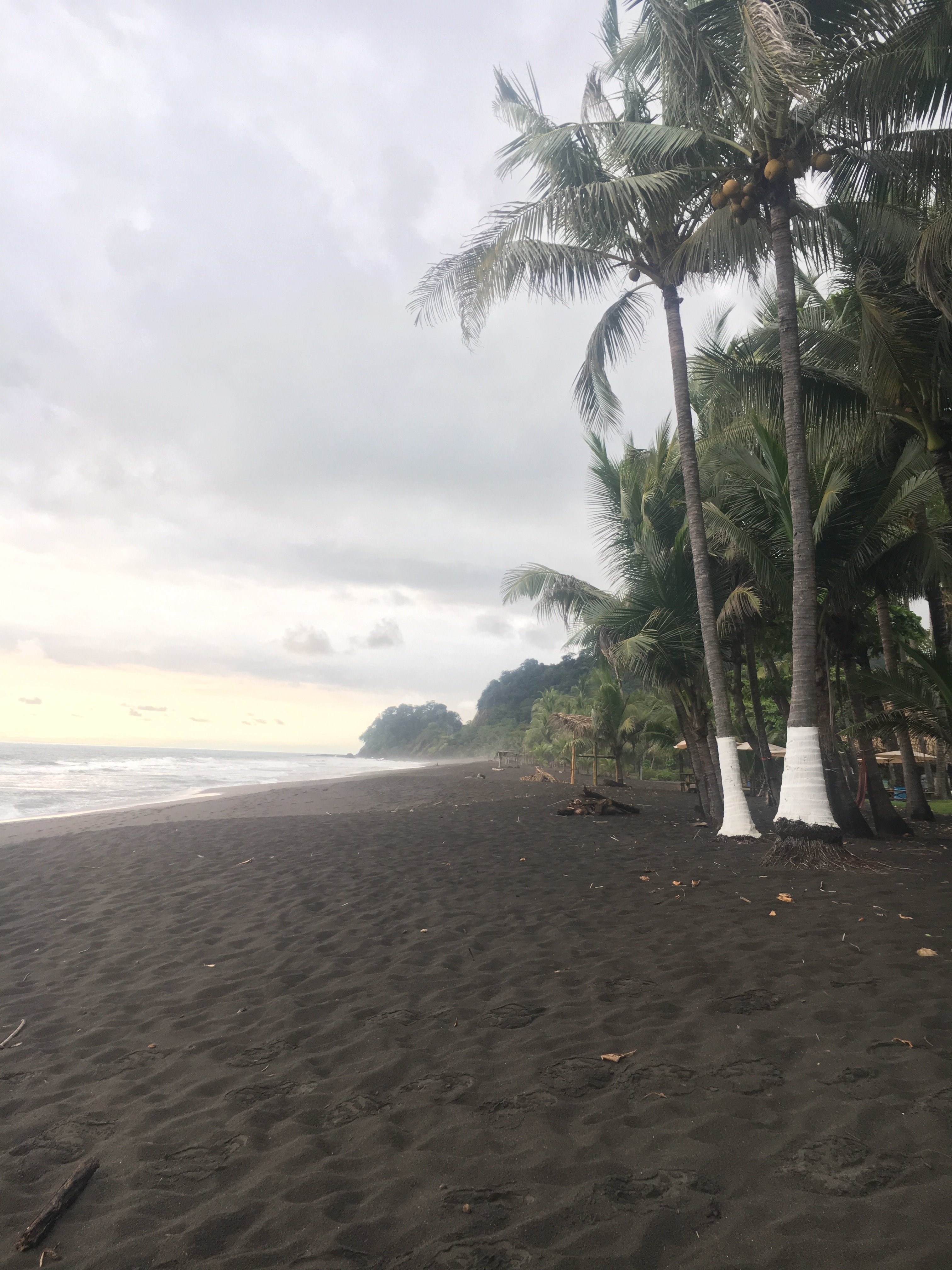 Wide view of a palm-lined beach at sunset.
