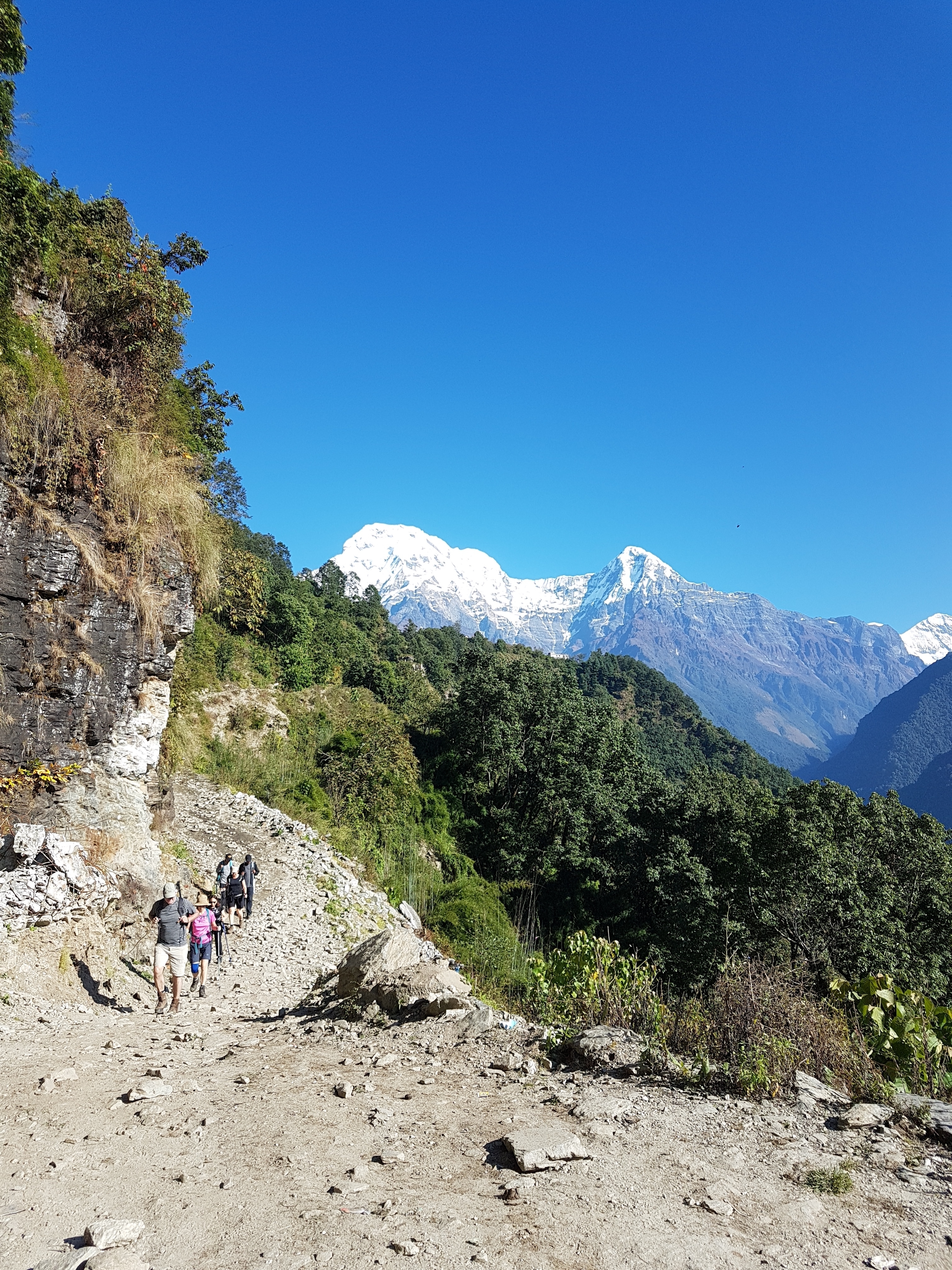 Hiking trail with snow-capped mountains in the background.