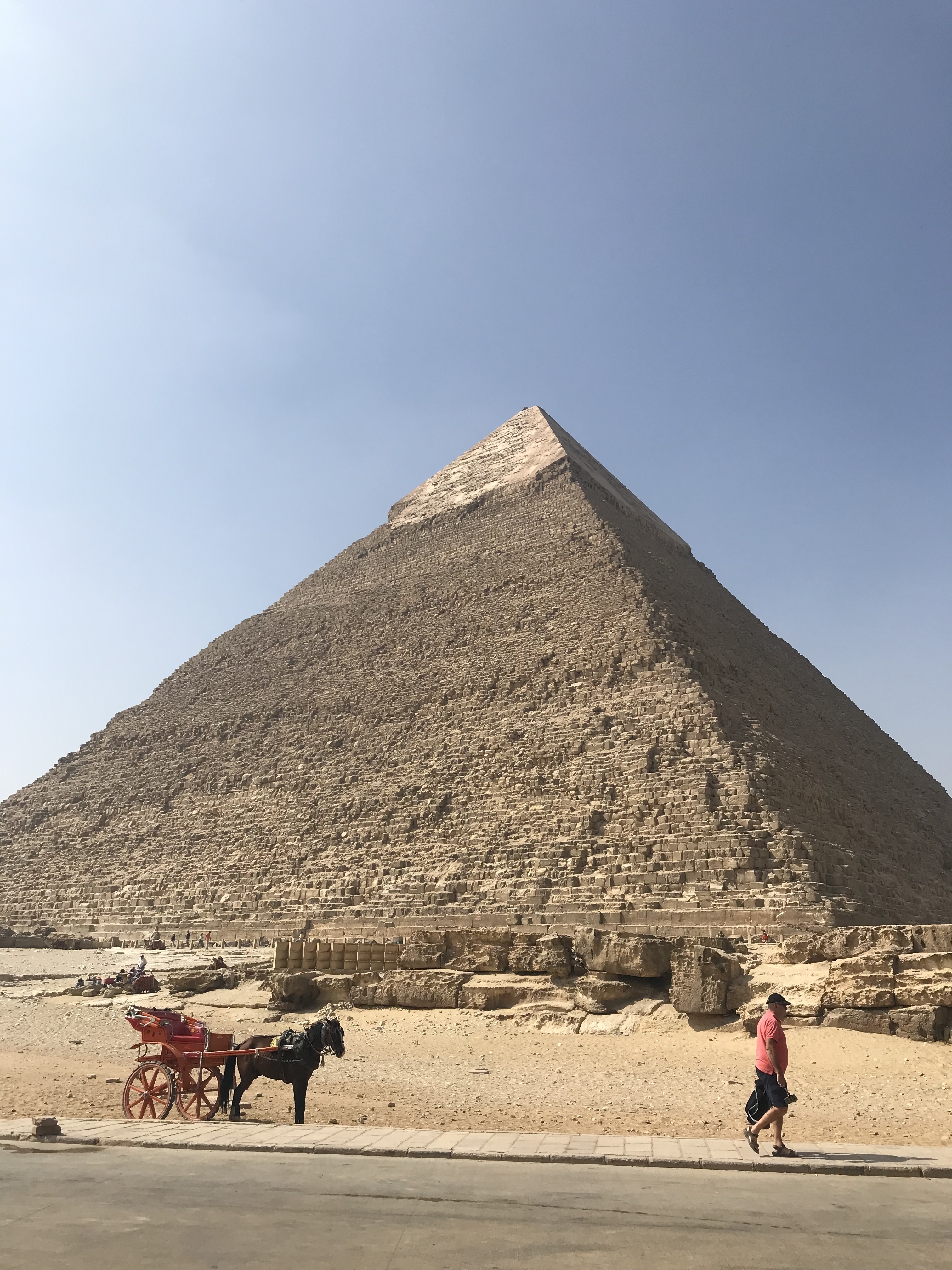 Pyramids, Petra, Promised Land - 19 Days customer review photo 1