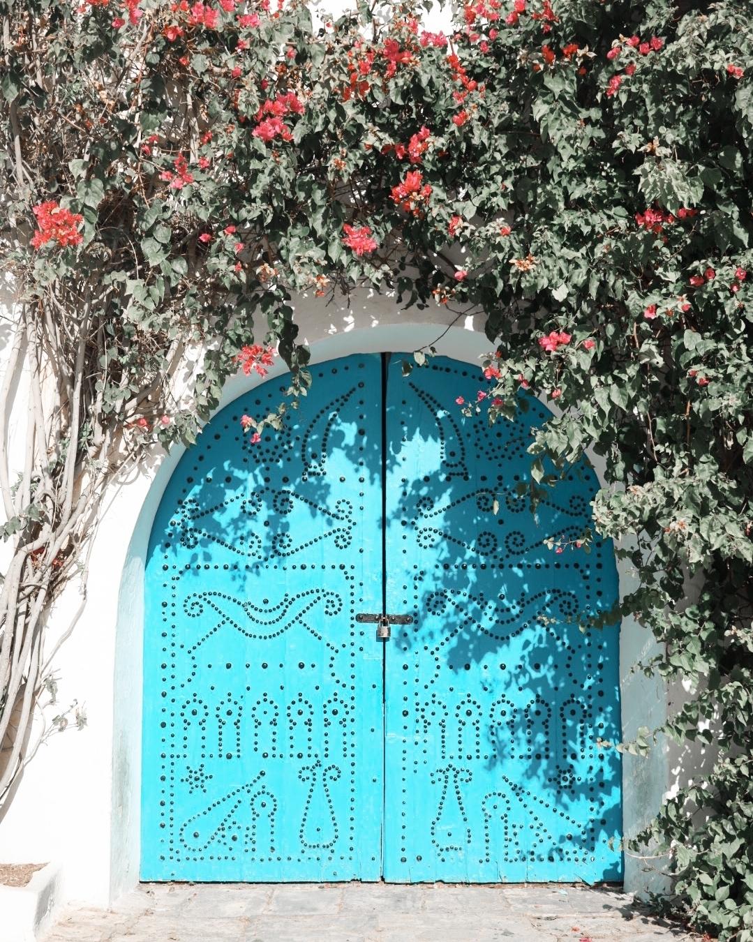 A decorative blue door with ornate patterns surrounded by flowering vines.