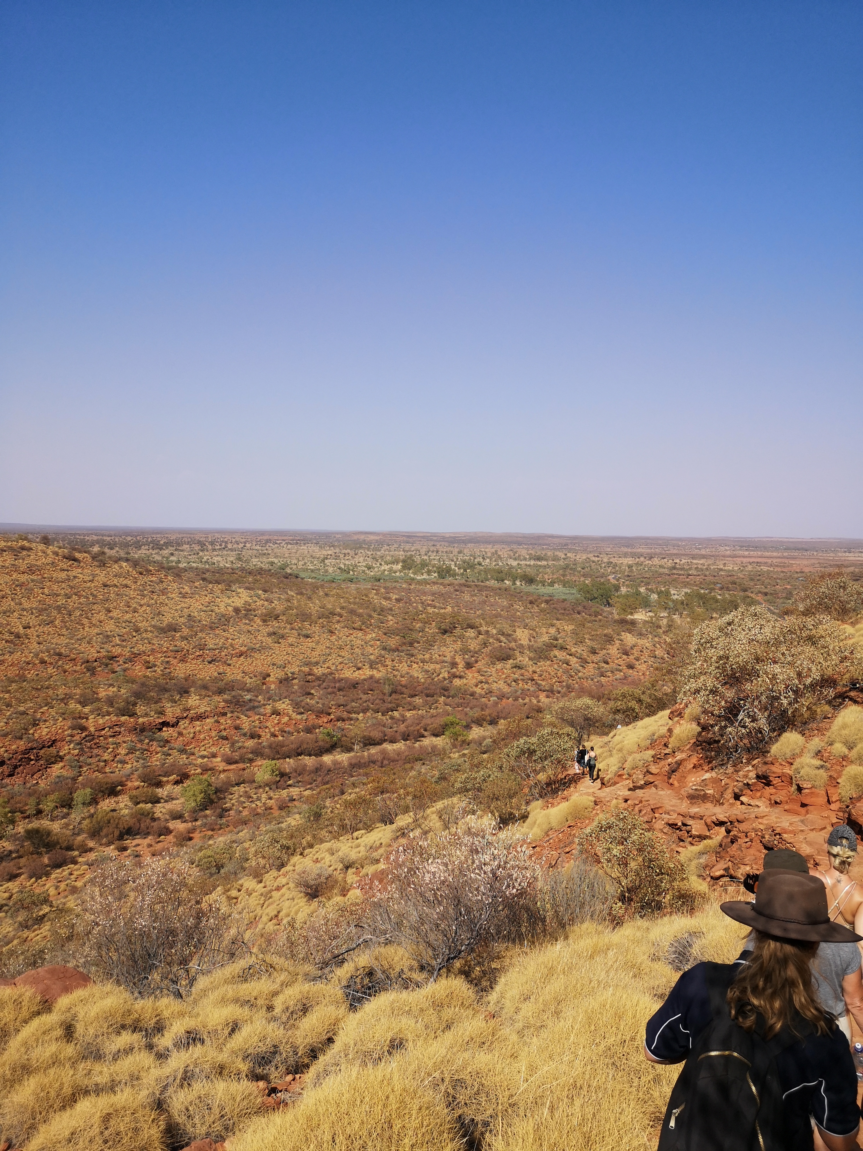 Vast landscape with bushes and a clear sky.
