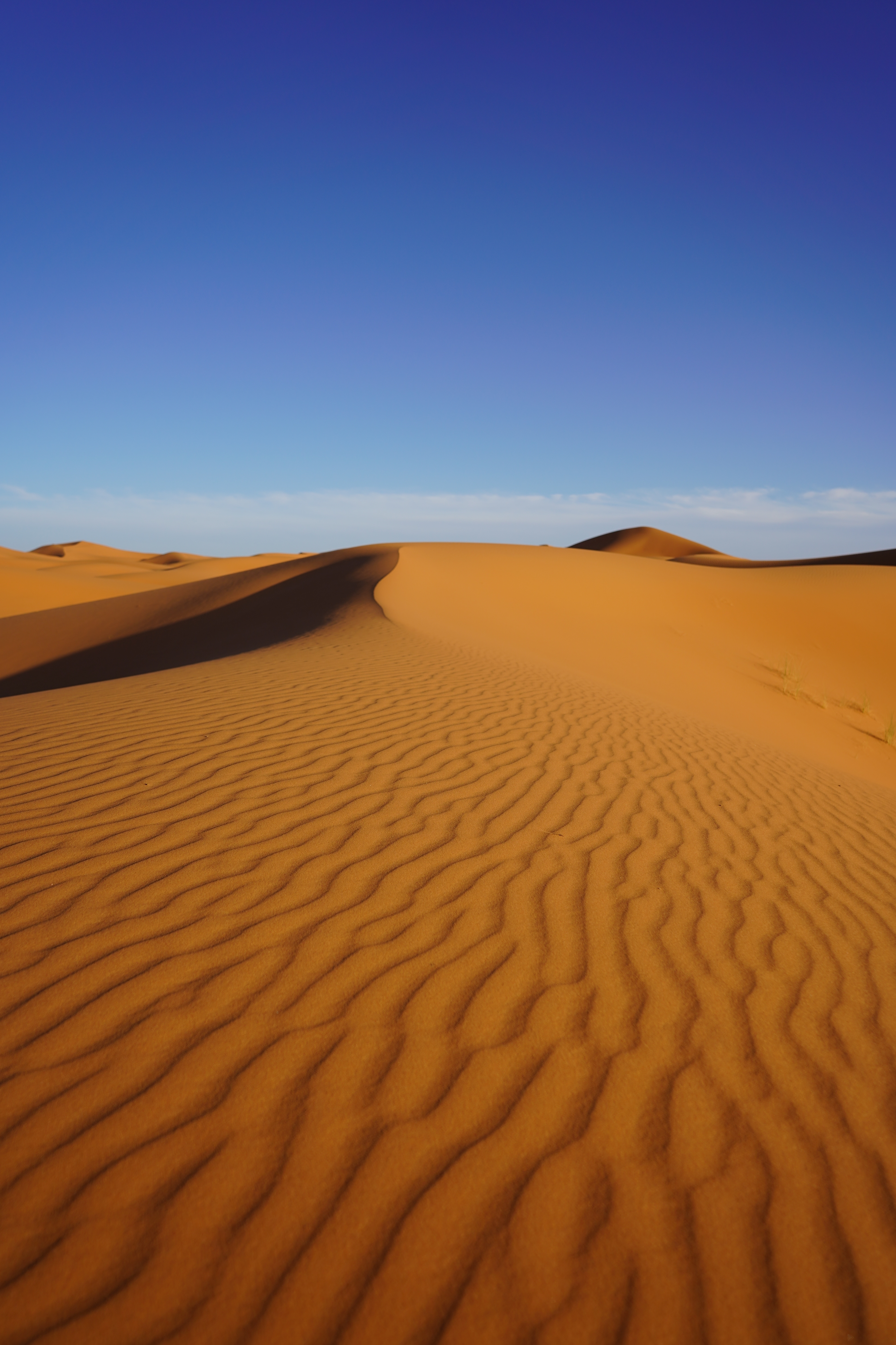 Golden sand dunes under a clear sky.