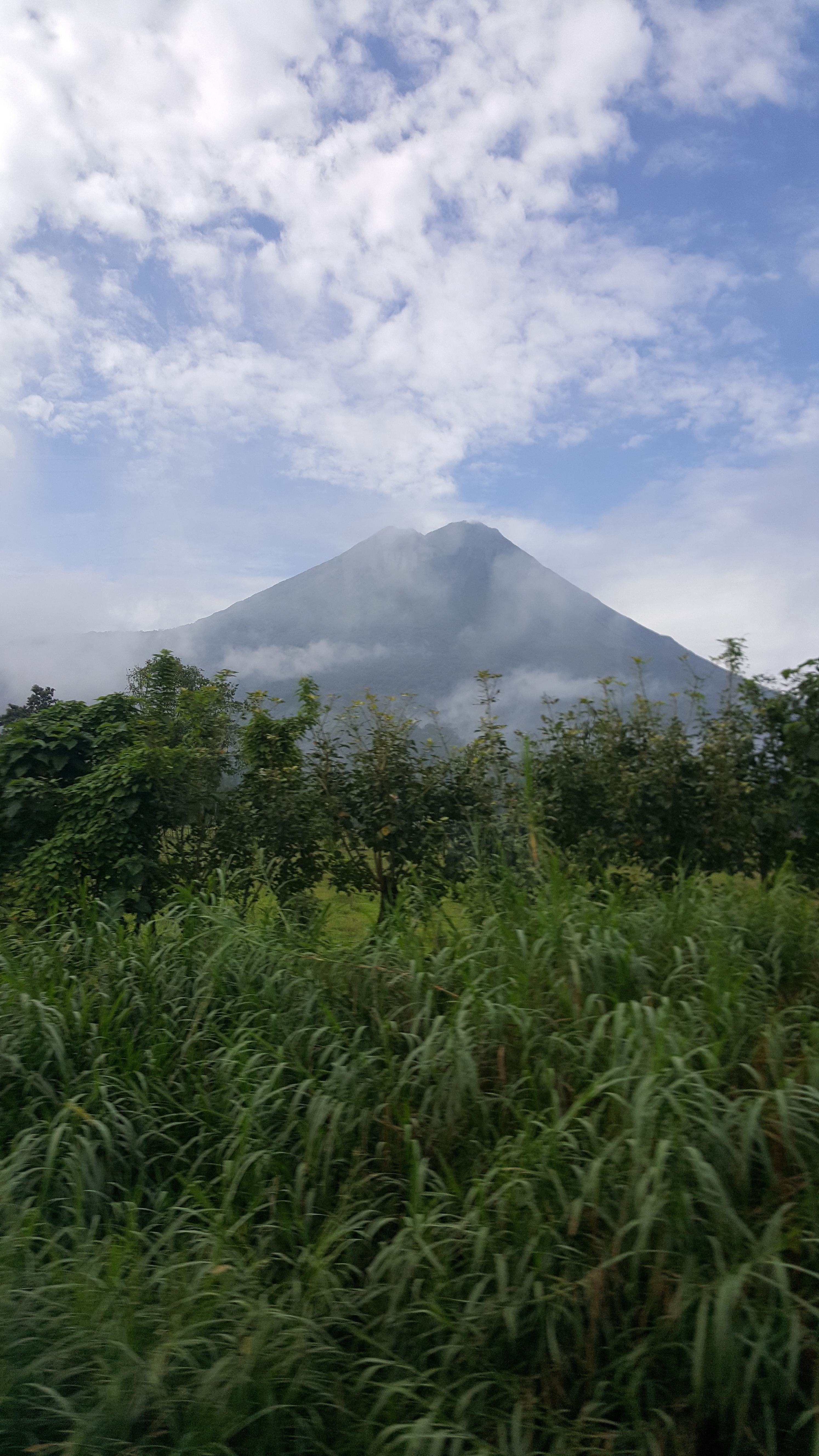 A distant view of a tall volcano enveloped in clouds and surrounded by greenery.