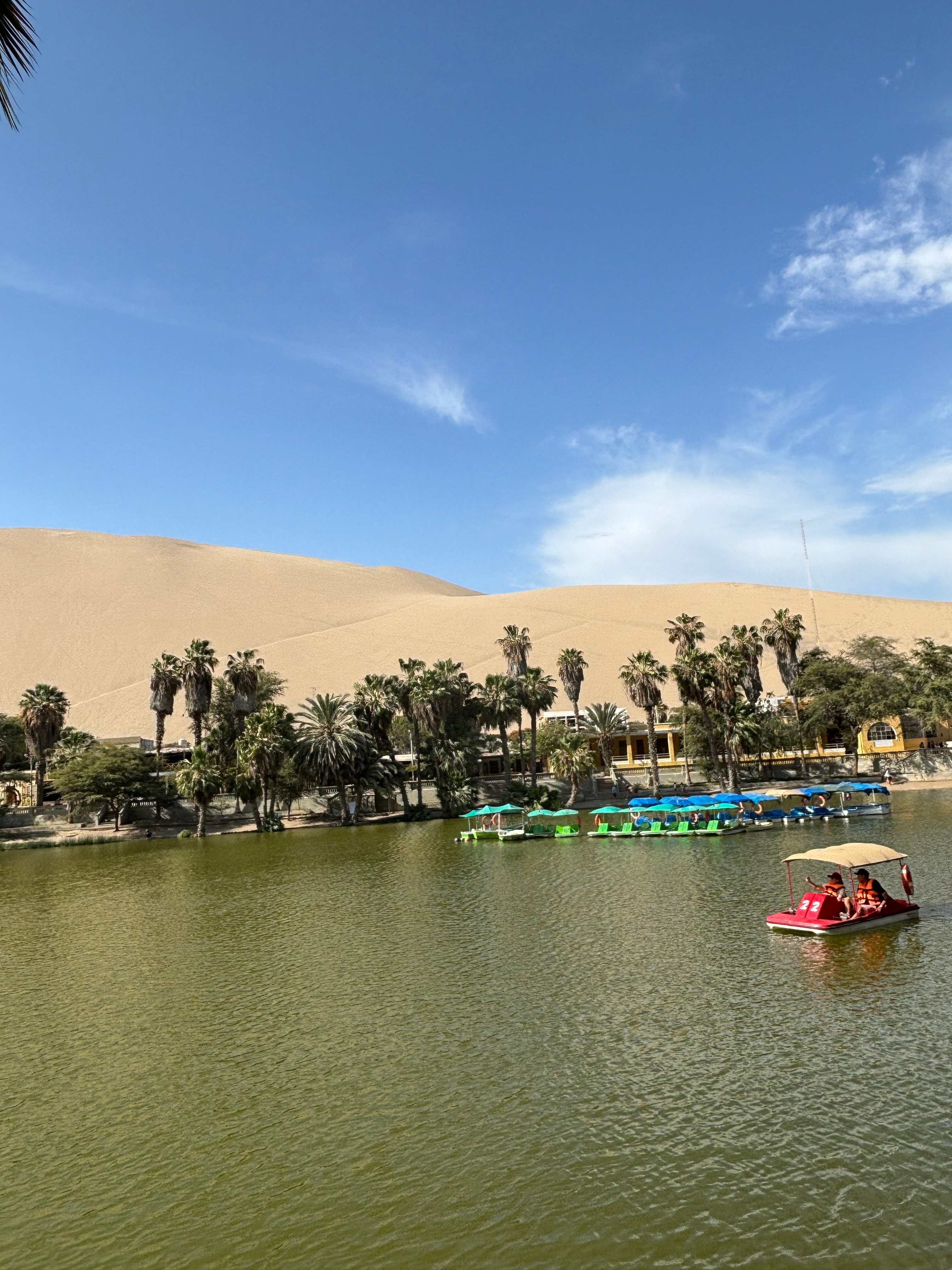 Aventuras Incas - 7 Días (Lima, Paracas, Ica, Cusco, Machu Picchu y Montaña Arco Iris) - Con Vuelos Nacionales customer review photo 4