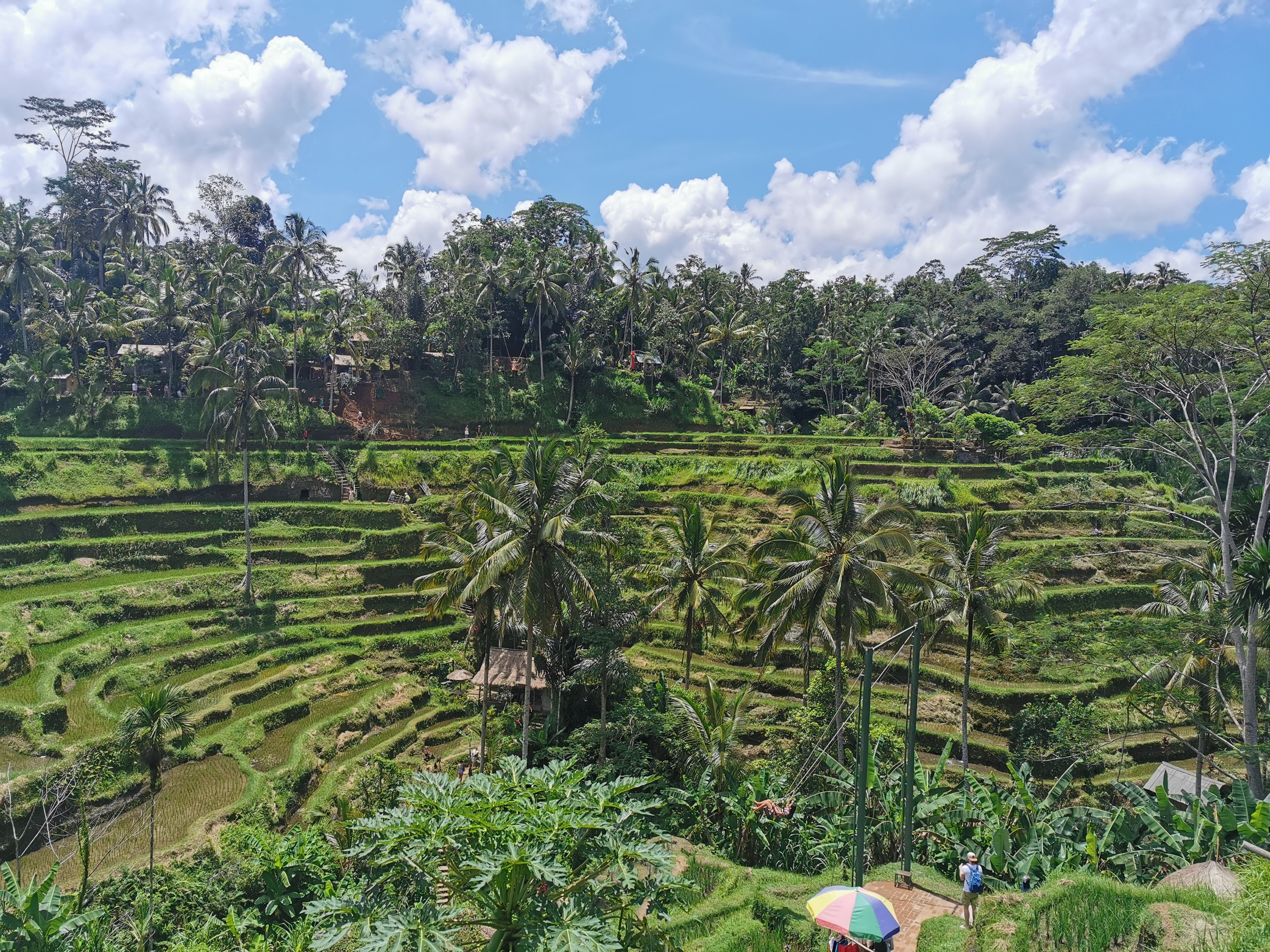 Bali klassiek – One Life Adventures – 12 dagen customer review photo 3
