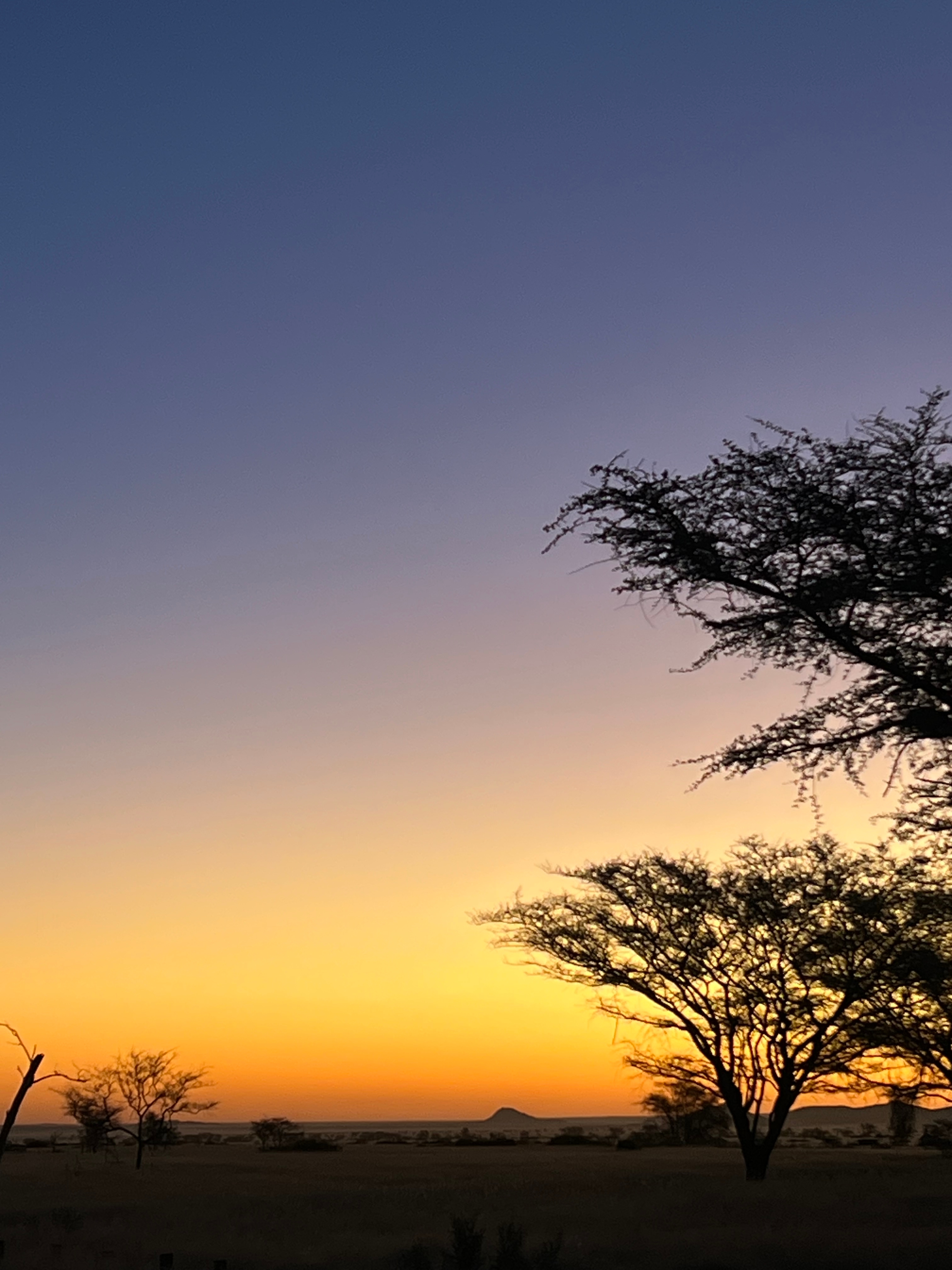 Aventura en Namibia (Acampada) 5 Días / 4 Noches customer review photo 2