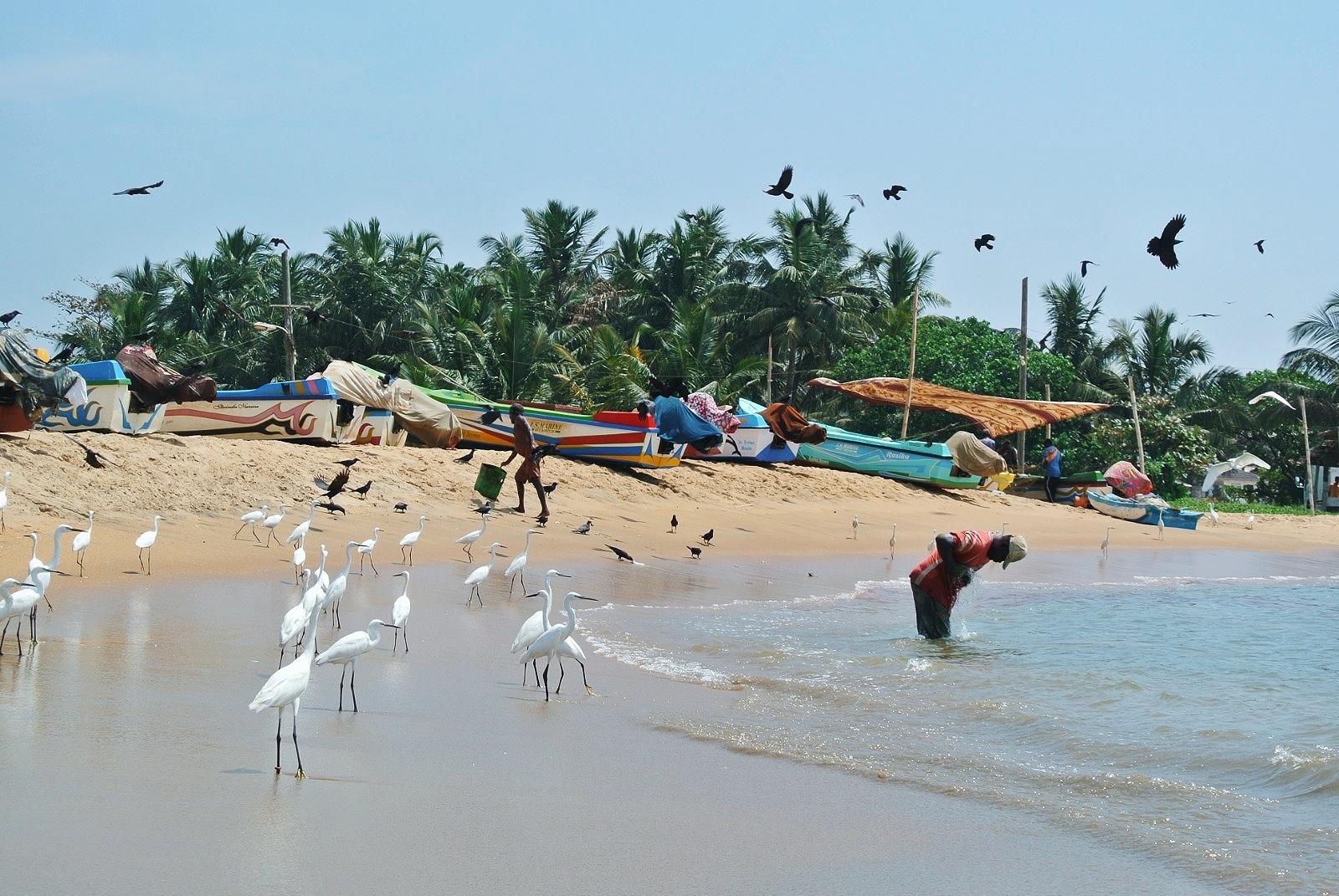 Sri Lanka Highlights mit One Life Adventures 12 Tage customer review photo 1