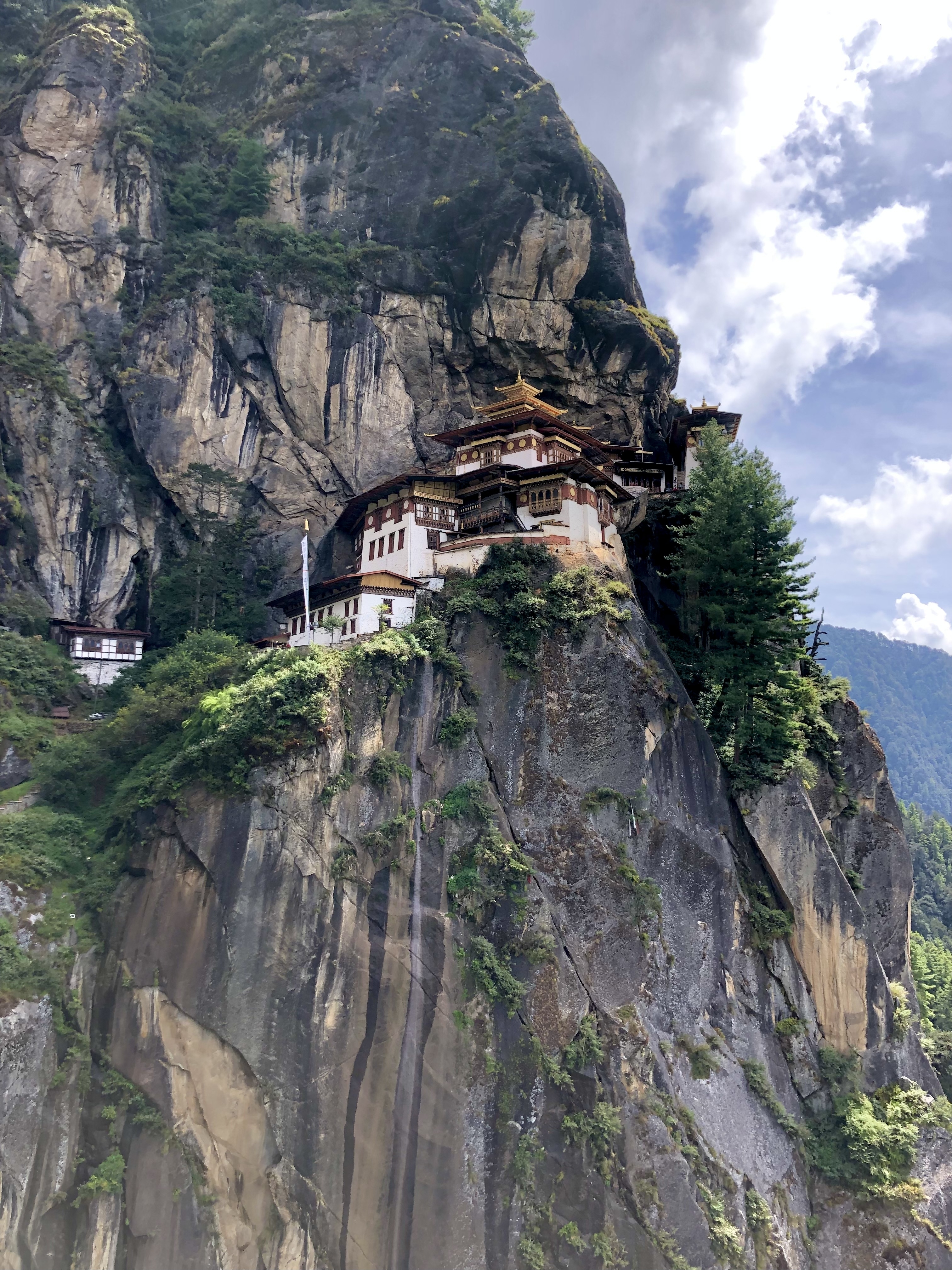 Monastery built into a cliffside surrounded by forest.