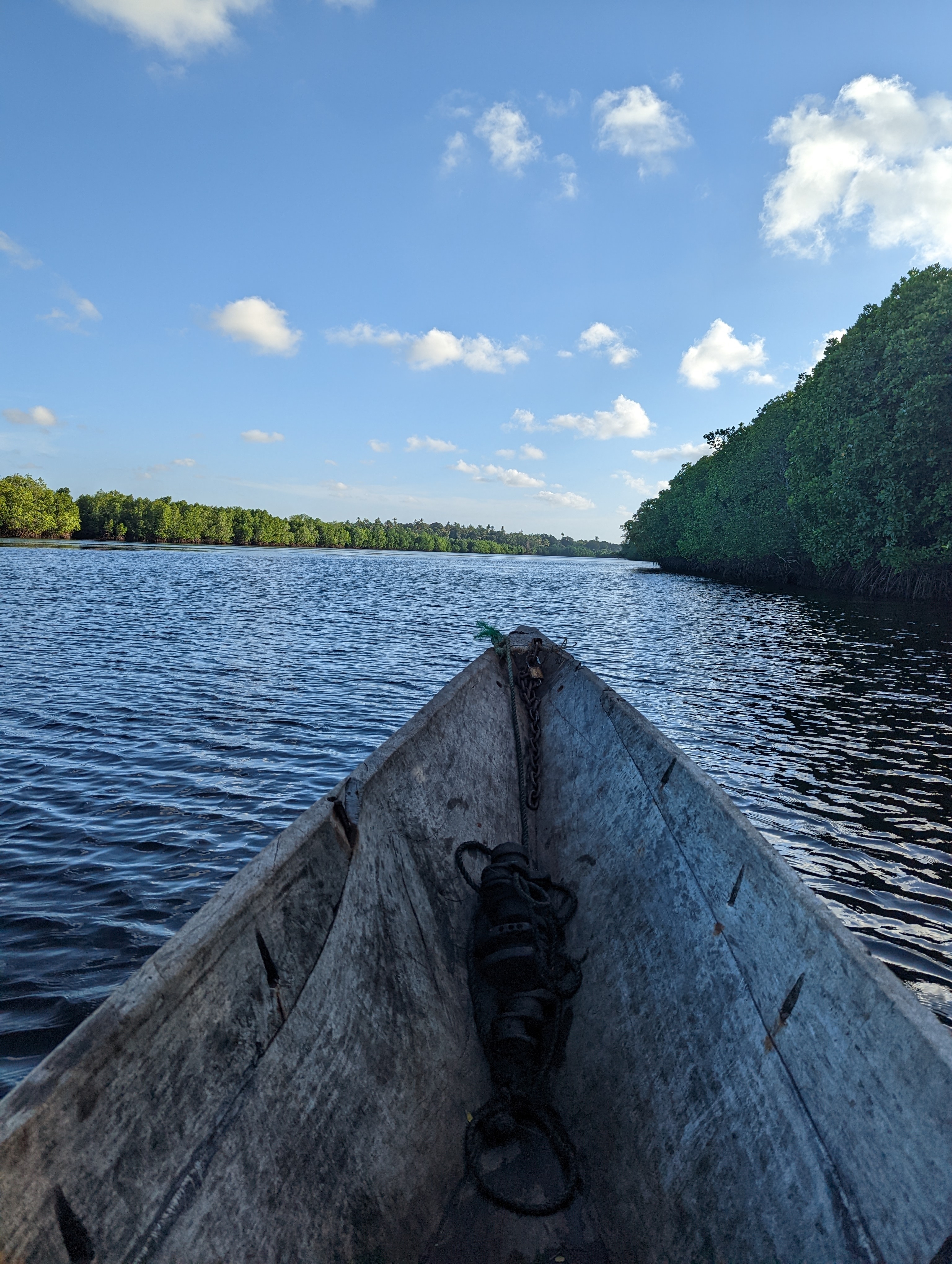 View from a boat on a river with lush green banks under blue sky.