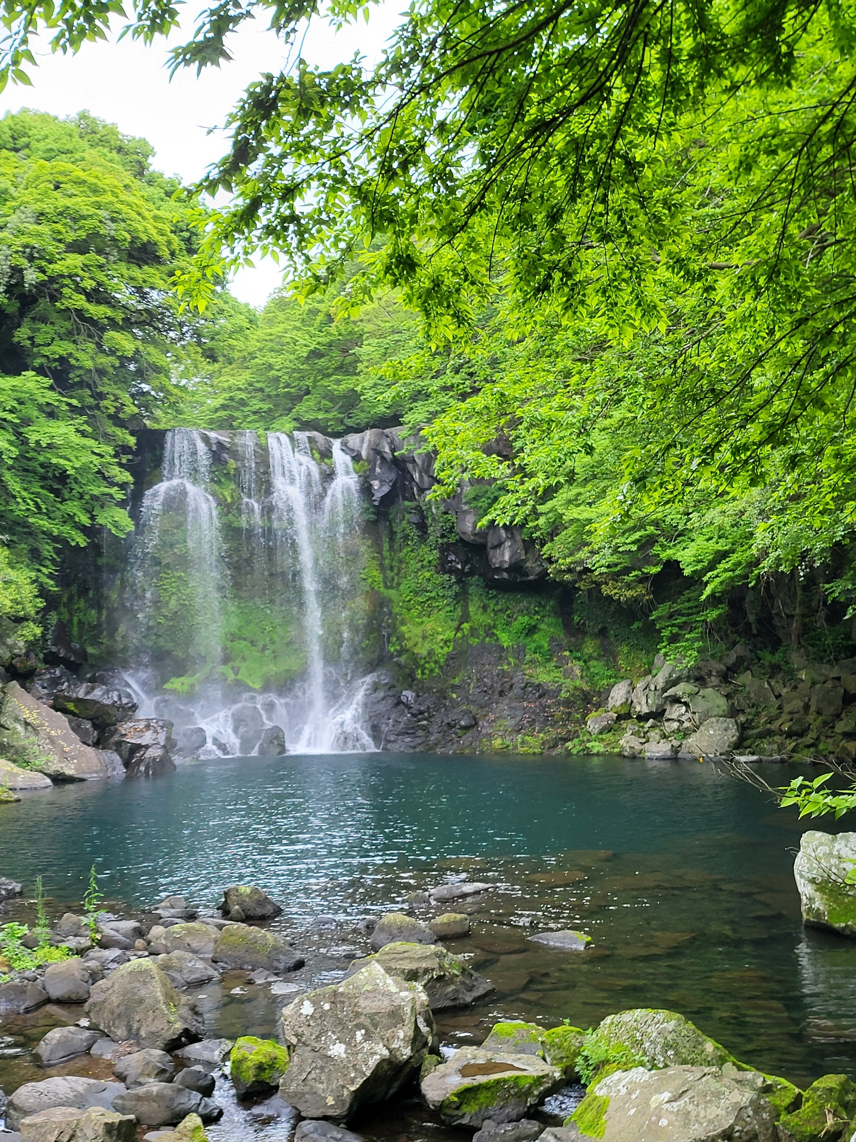 Check-in Korea mit Jeju Island in 16 Tagen: Ein kuratiertes All-Inclusive-Erlebnis customer review photo 3