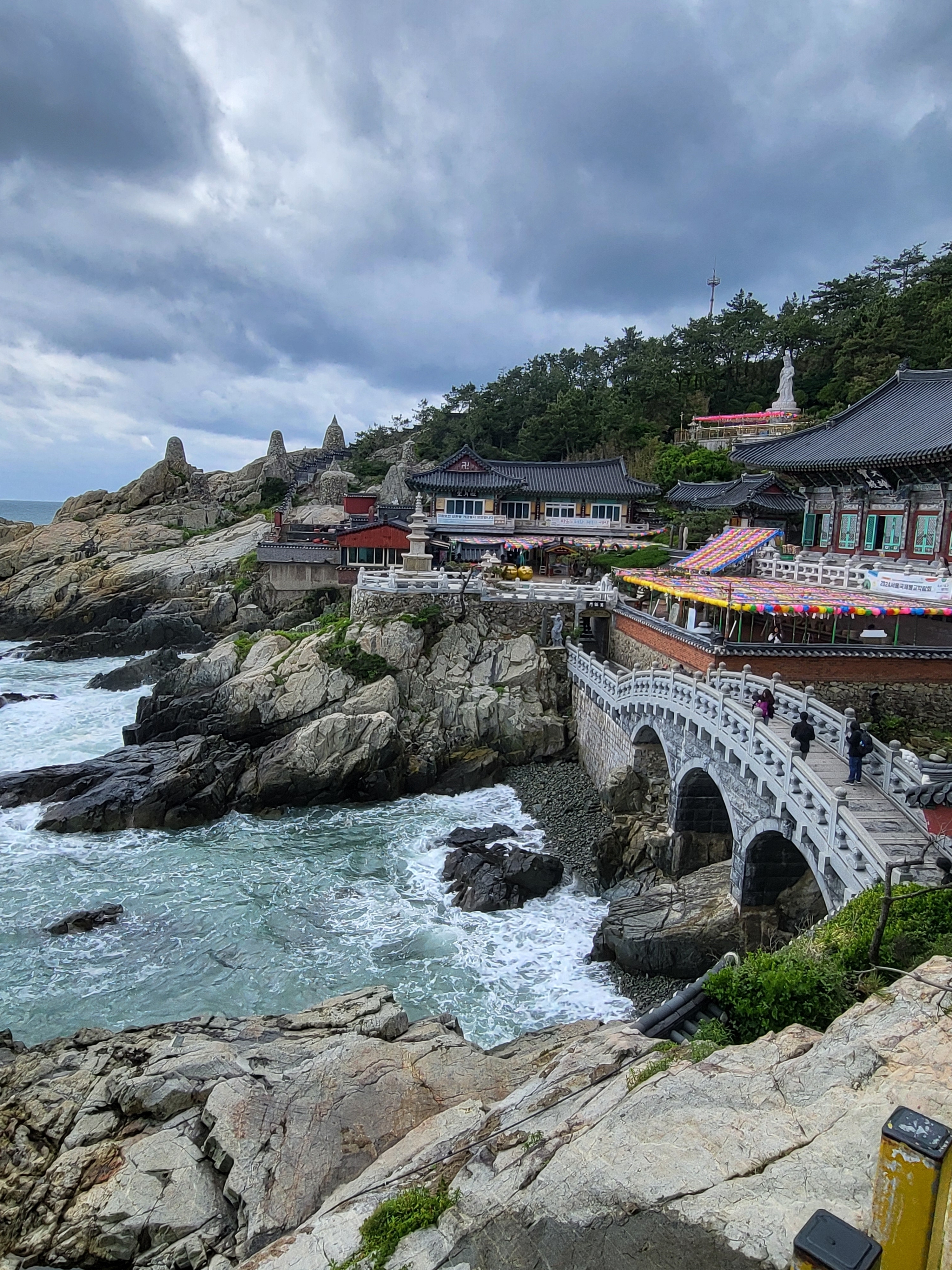 Check-in Korea mit Jeju Island in 16 Tagen: Ein kuratiertes All-Inclusive-Erlebnis customer review photo 5