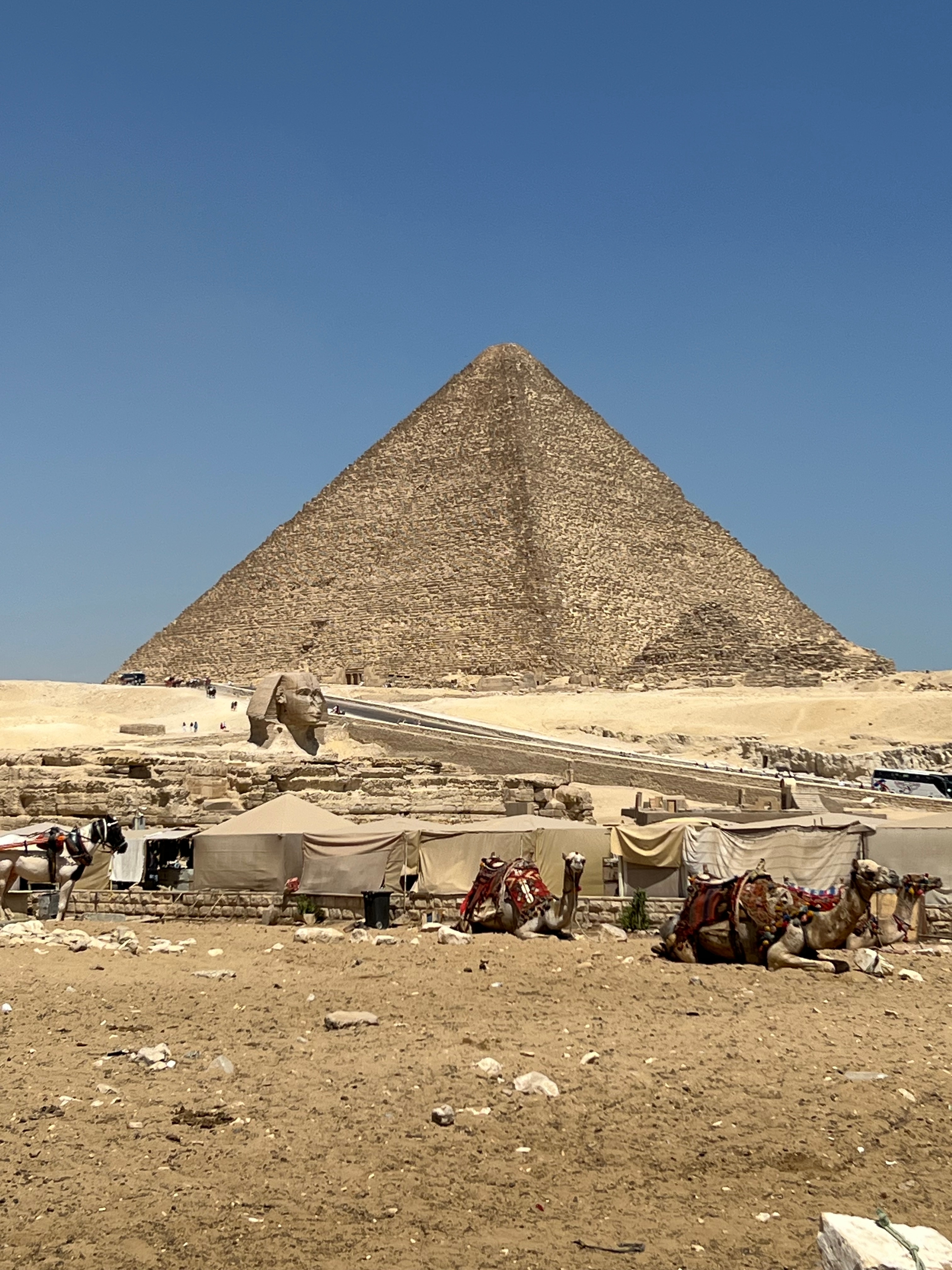 Magic of Egypt with the GEM museum tour. (free All inclusive upgrade hurghada resort) customer review photo 2