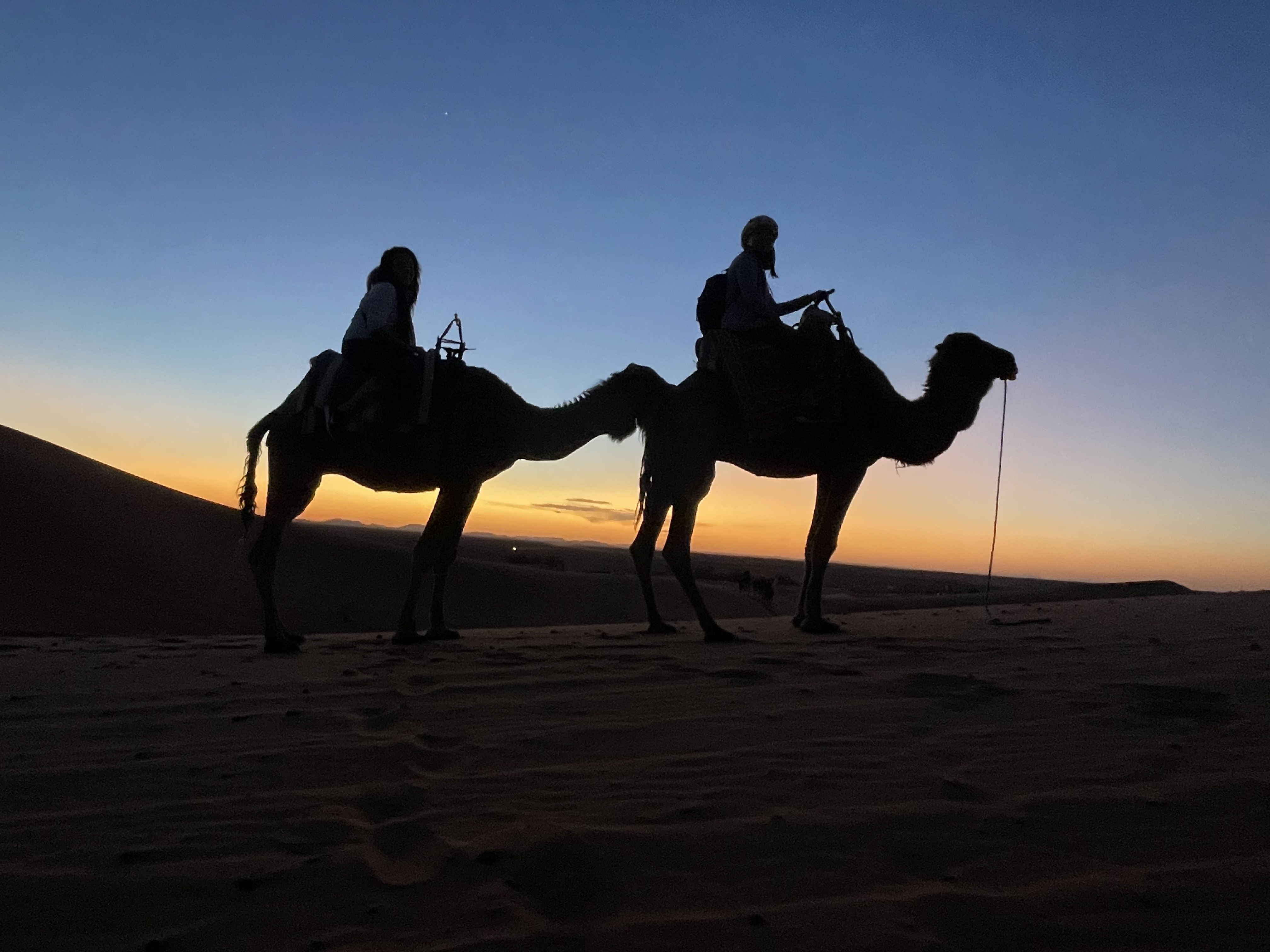 Reichsstädte und die Sahara 7 Tage customer review photo 4