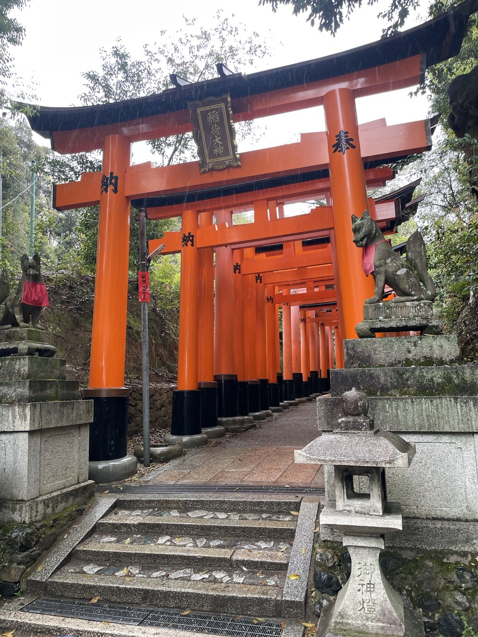 Pathway lined with orange torii gates and statues