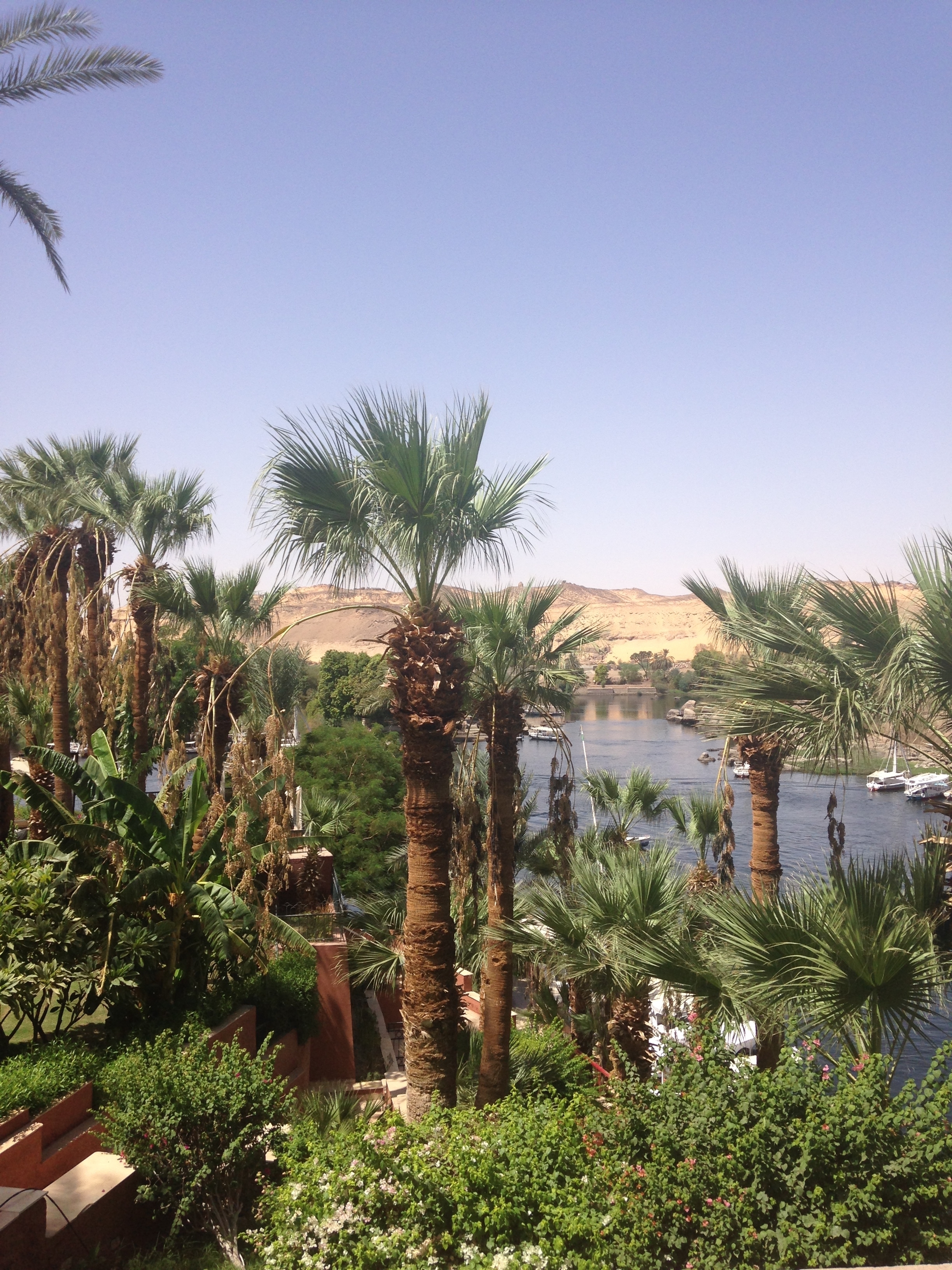 Cairo to Luxor Explorer - 6 days customer review photo 3