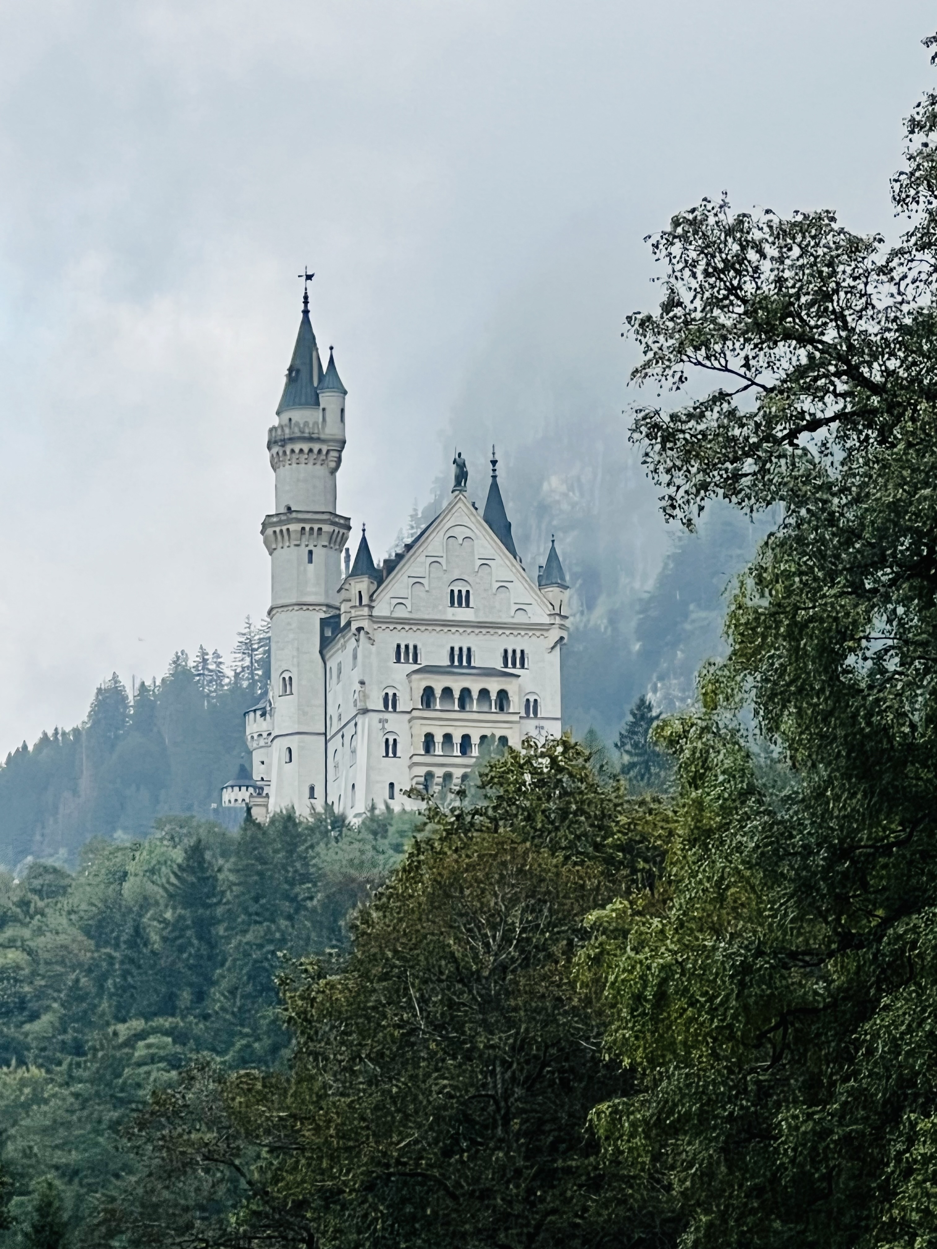 A famous castle located on a hill surrounded by fog.