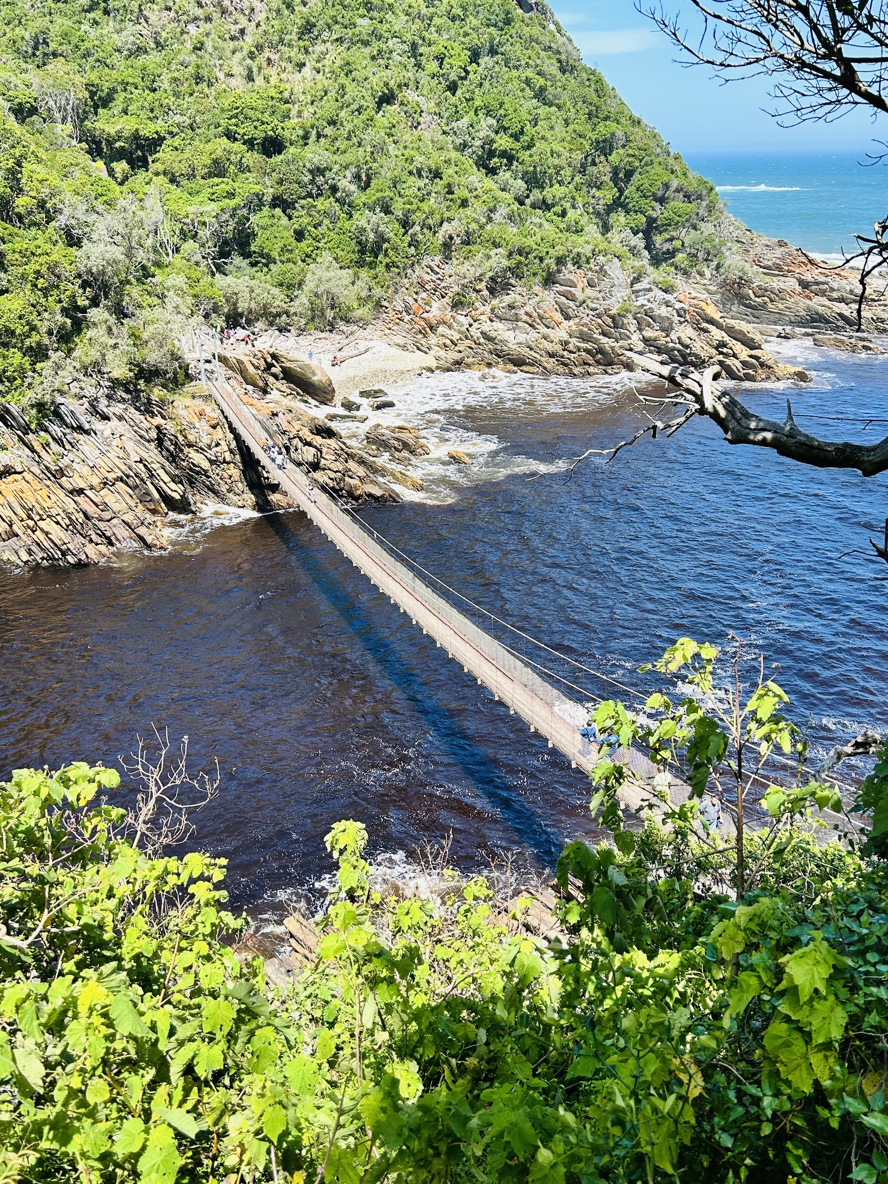 A suspension bridge over a river with surrounding greenery.