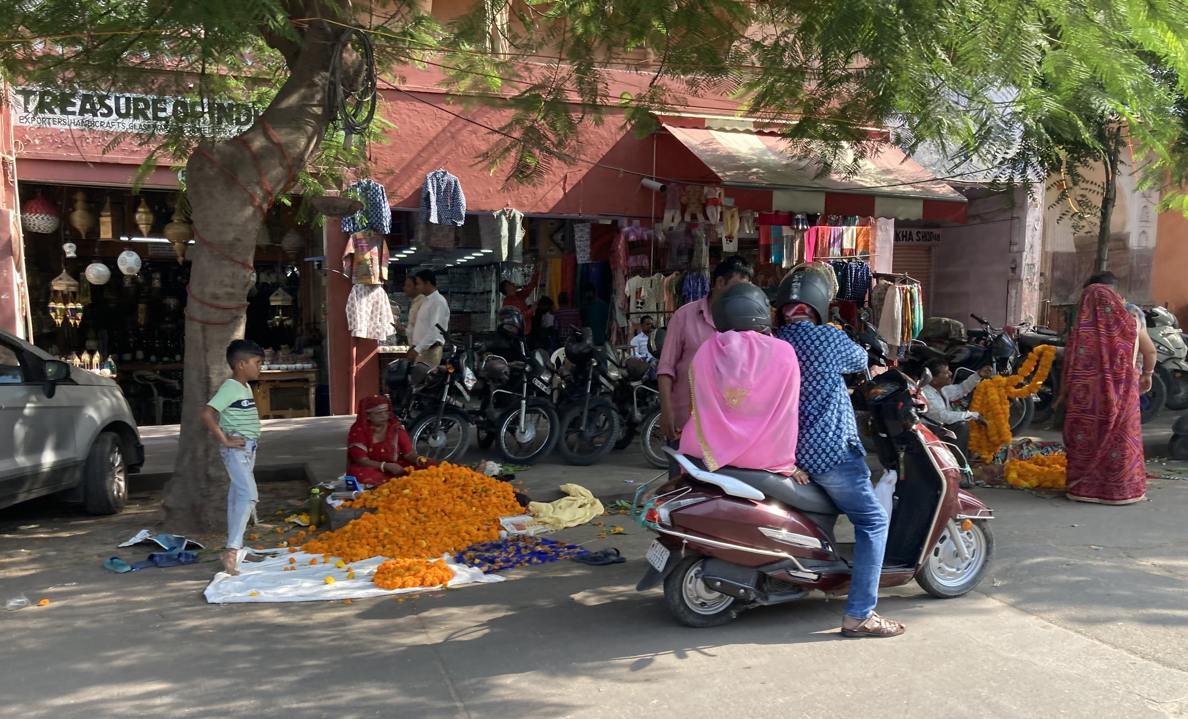 Golden Triangle Tour With Ranthambore With Luxury 4 Star Hotels customer review photo 4