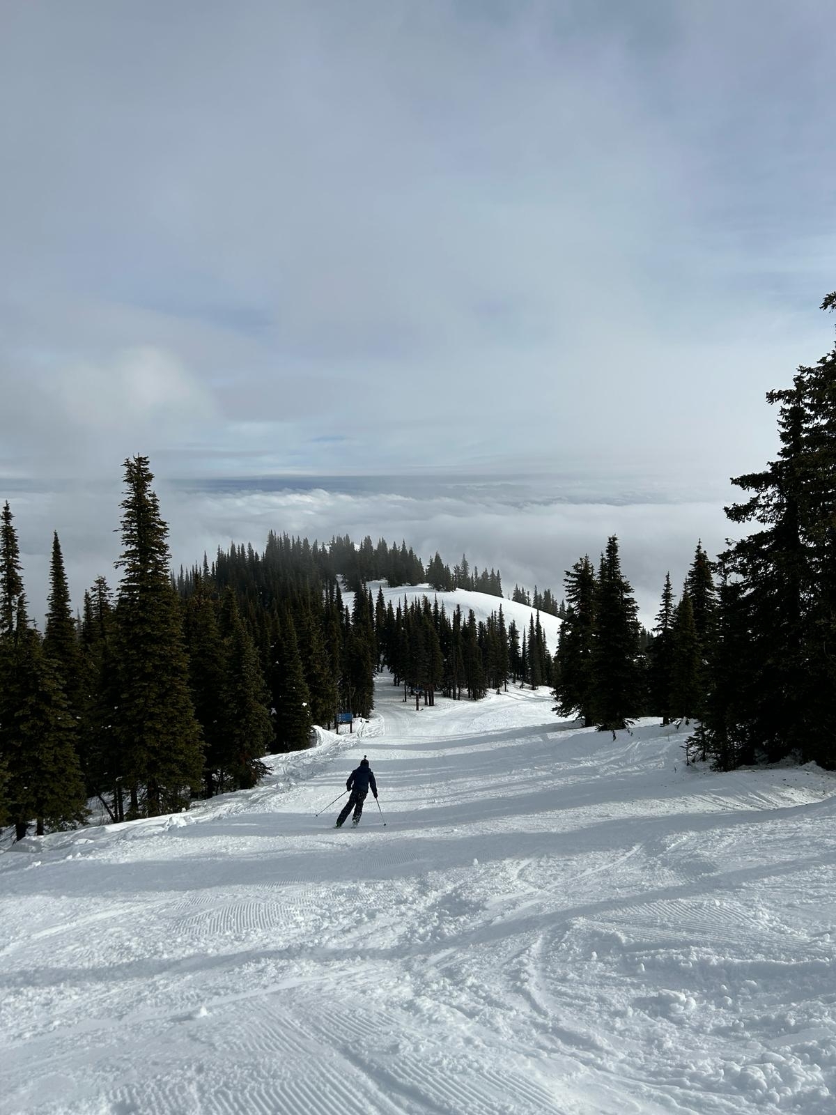 Snowy landscape with trees and a person skiing