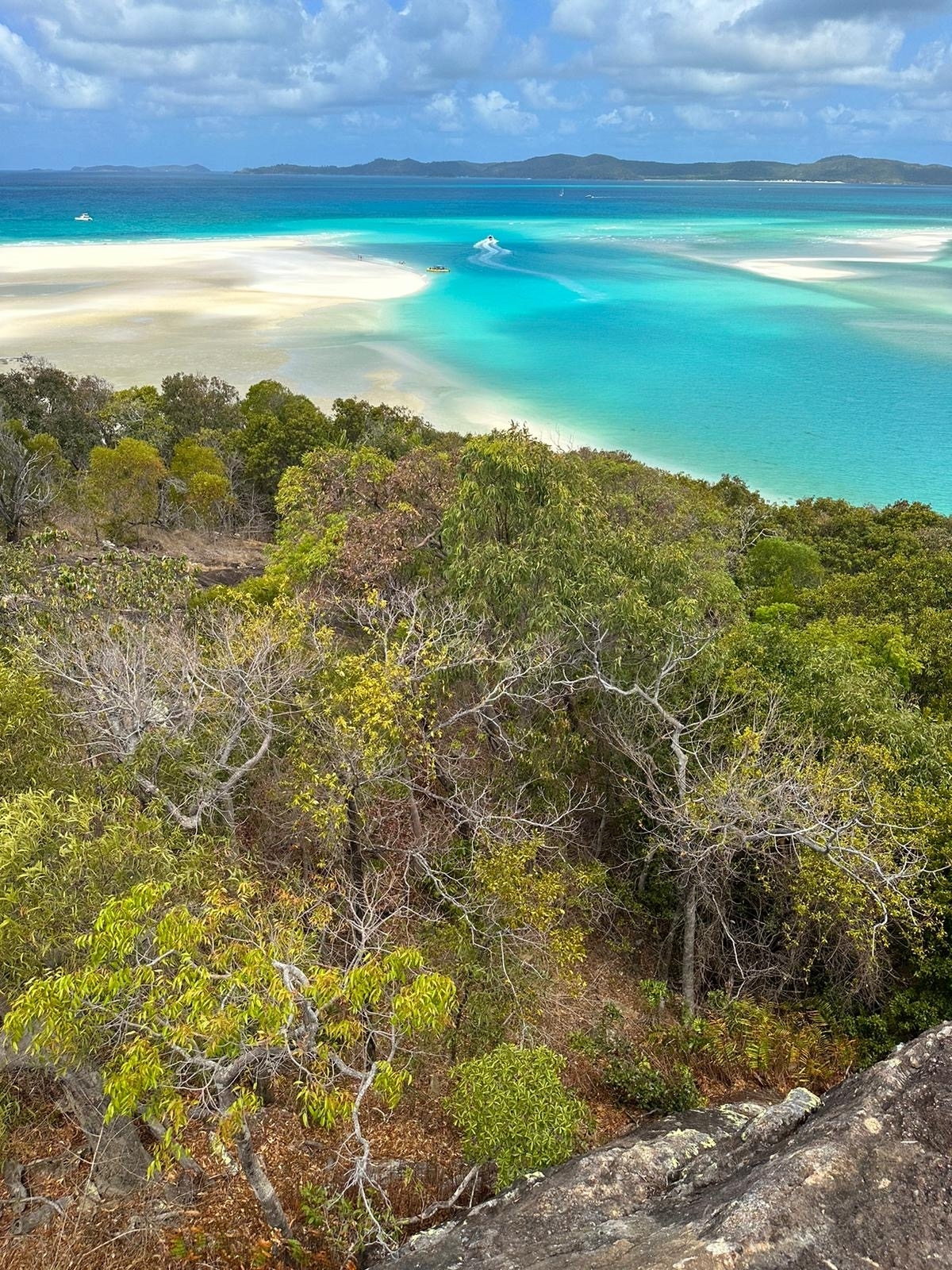Das Beste der Küste: Von Sydney nach Cairns 16 Tage customer review photo 3